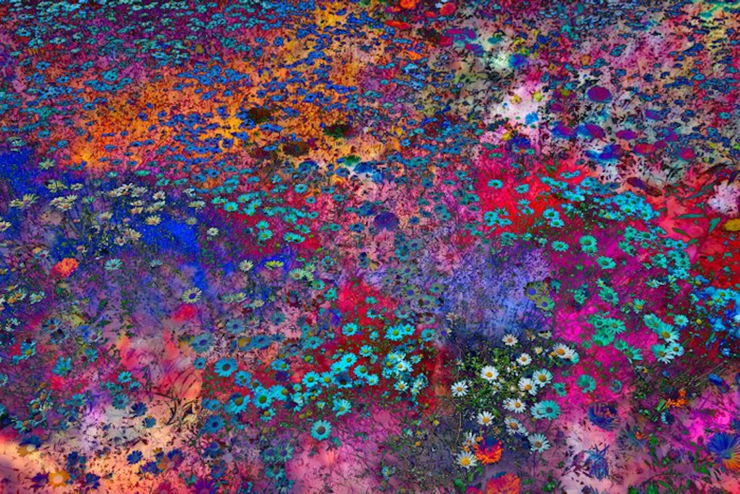 Viet Ha Tran - Shades of Dreams II