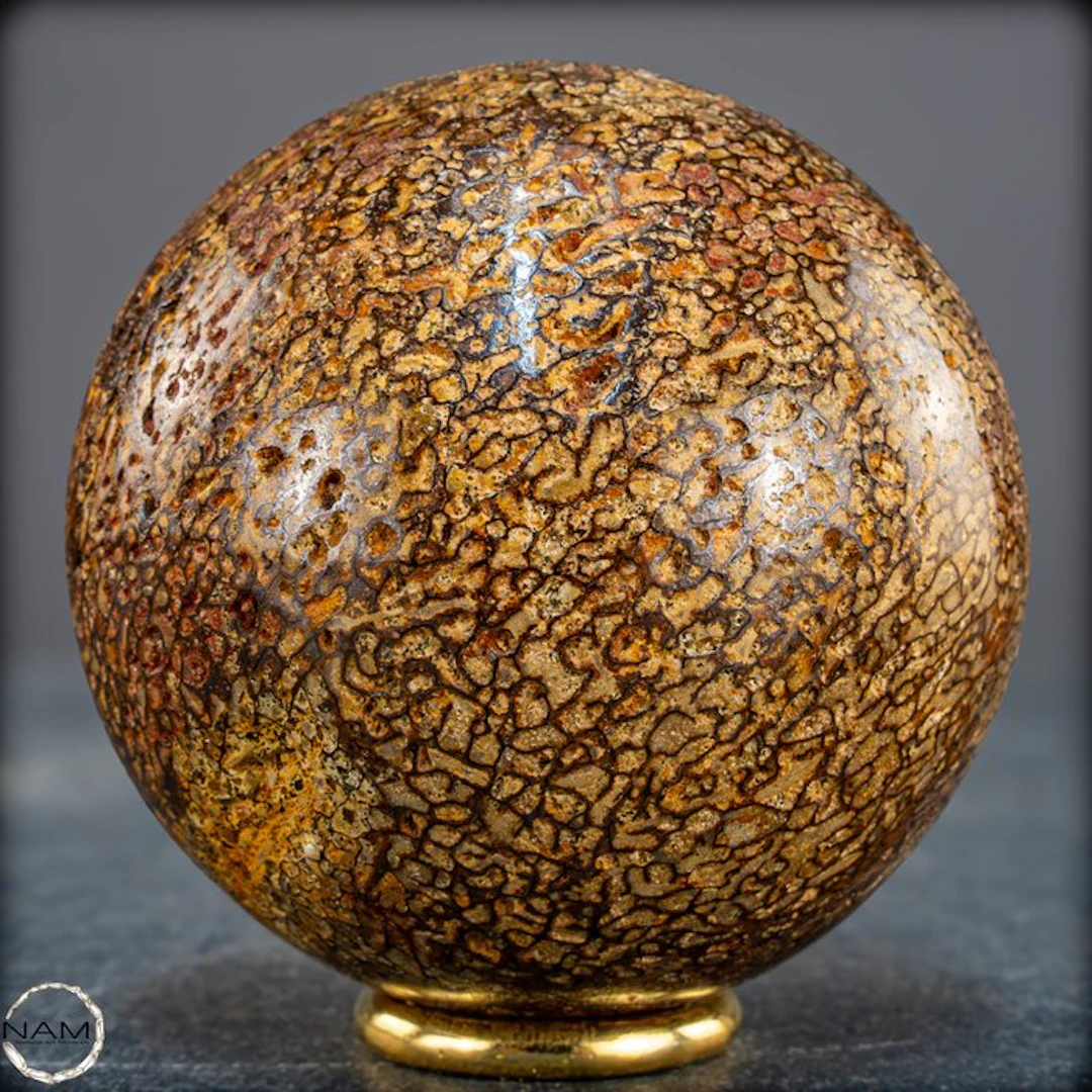 Very Rare Natural Petrified Atlasaurus Dino Bone Sphere, Top Quality- 385.97 g