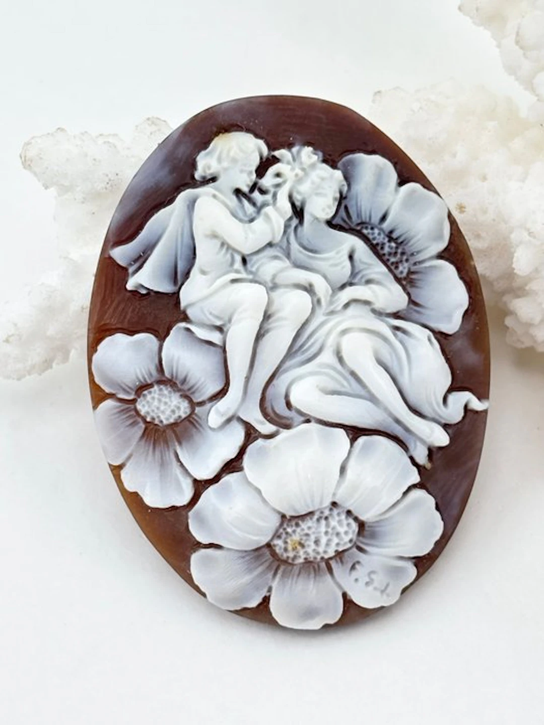 Cassis madagascariensis Cameo - Hand-engraved cameo