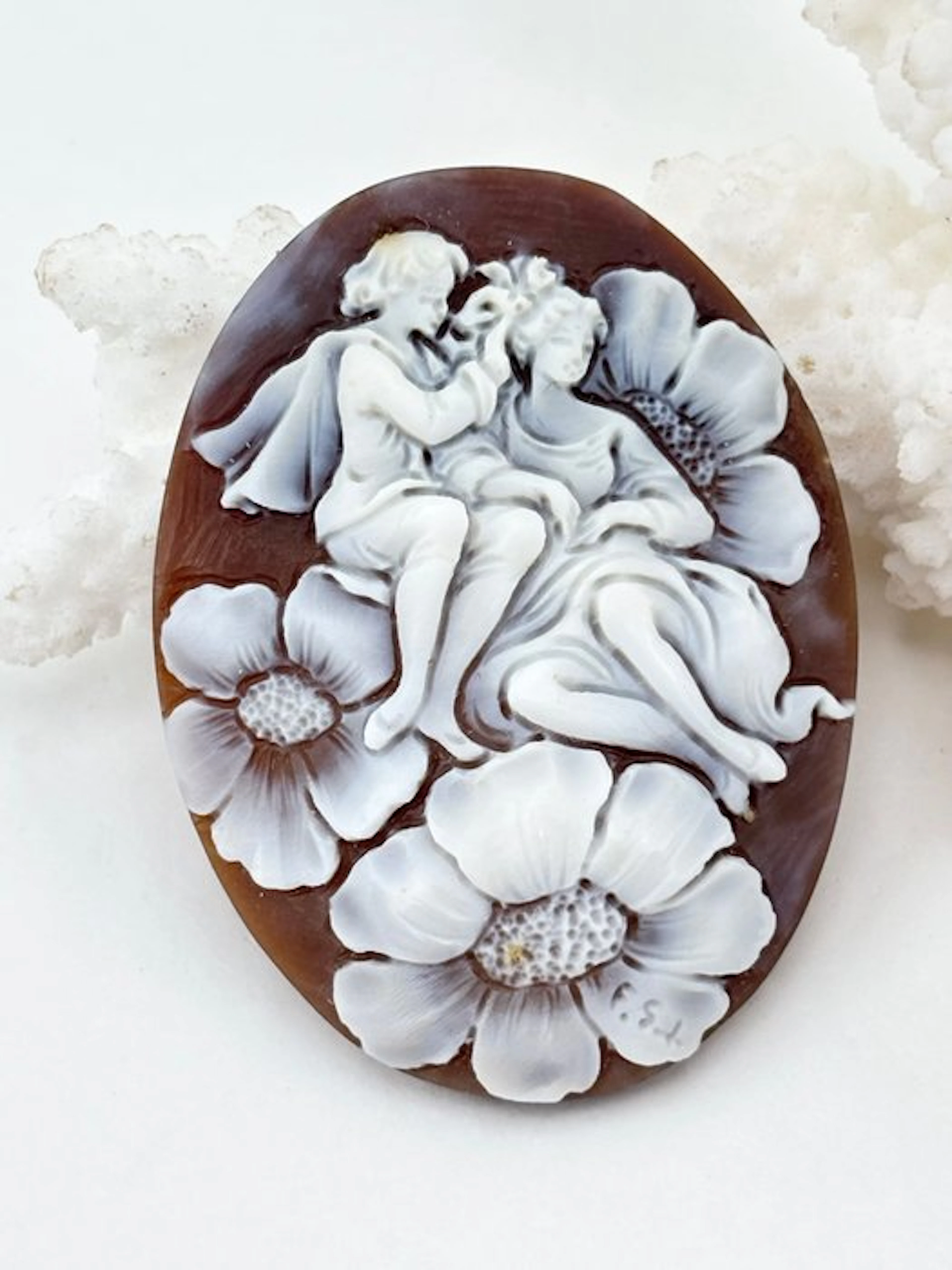 Cassis madagascariensis Cameo - Hand-engraved cameo