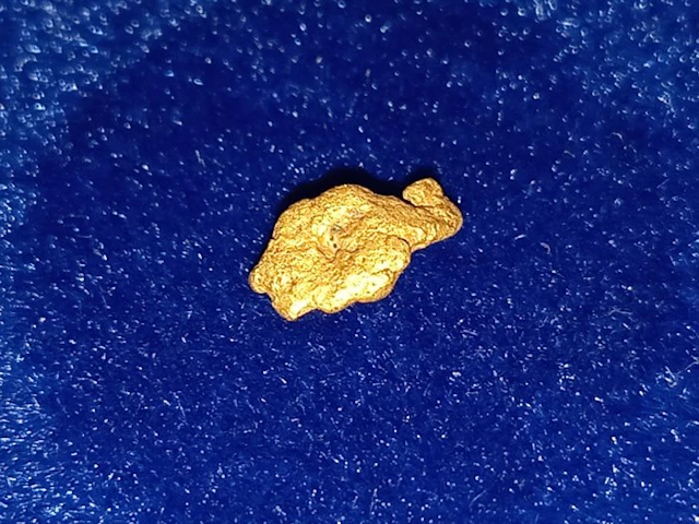 Rare jewel - Gold nugget - Lapland Nugget - Height: 0.6...