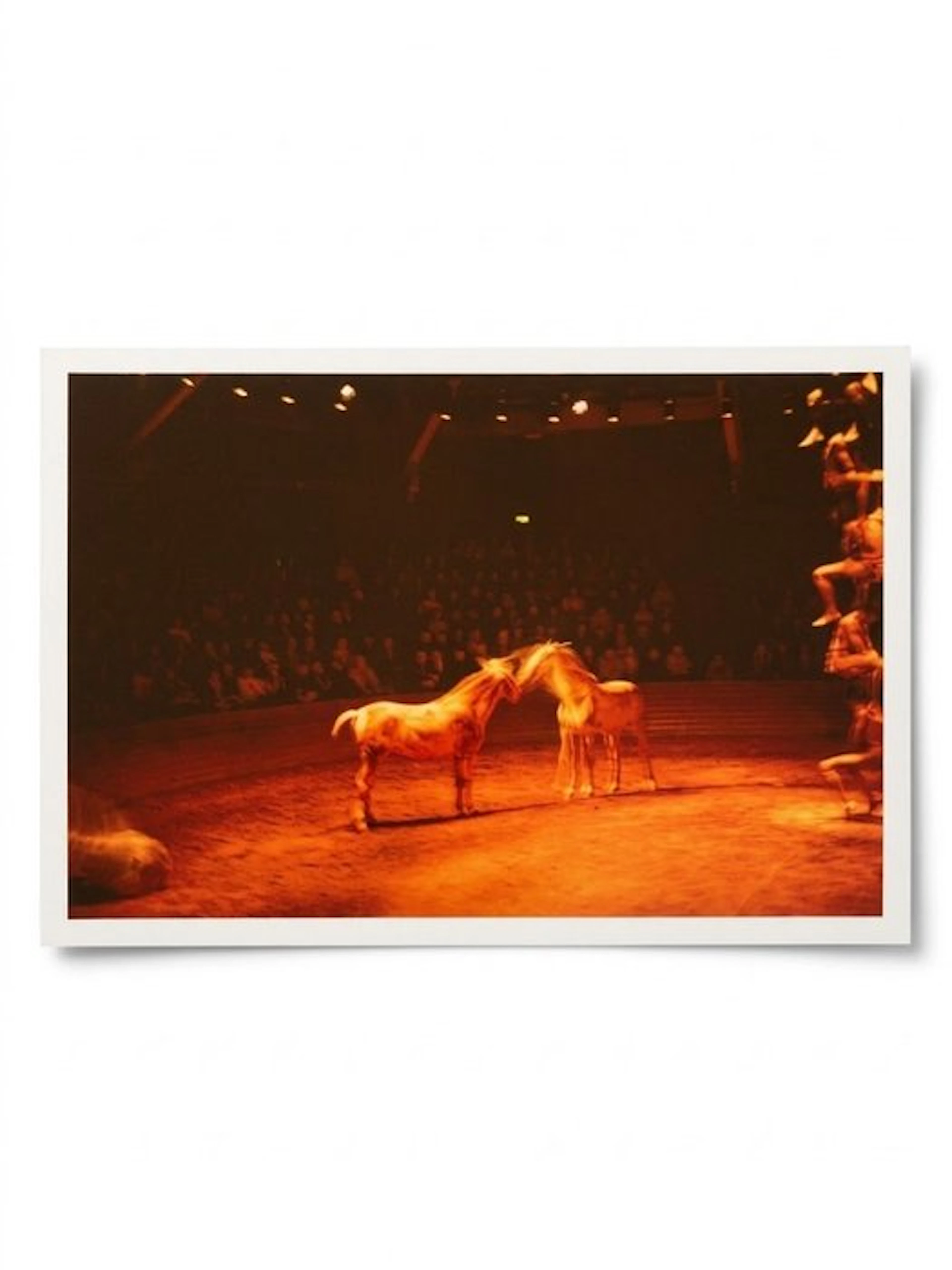 Nan Goldin - Horse Circus