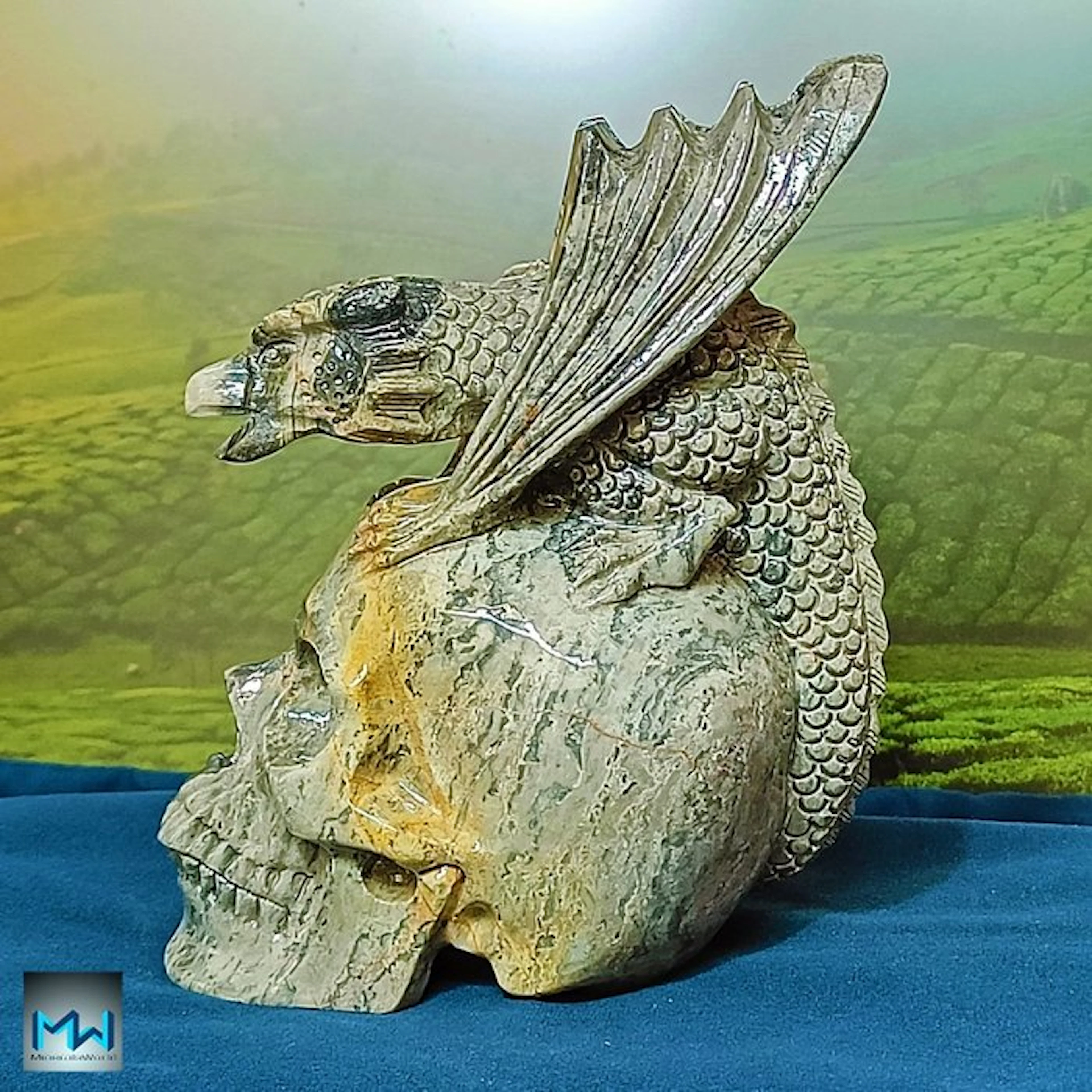 Carved Dragon on a Human Skull