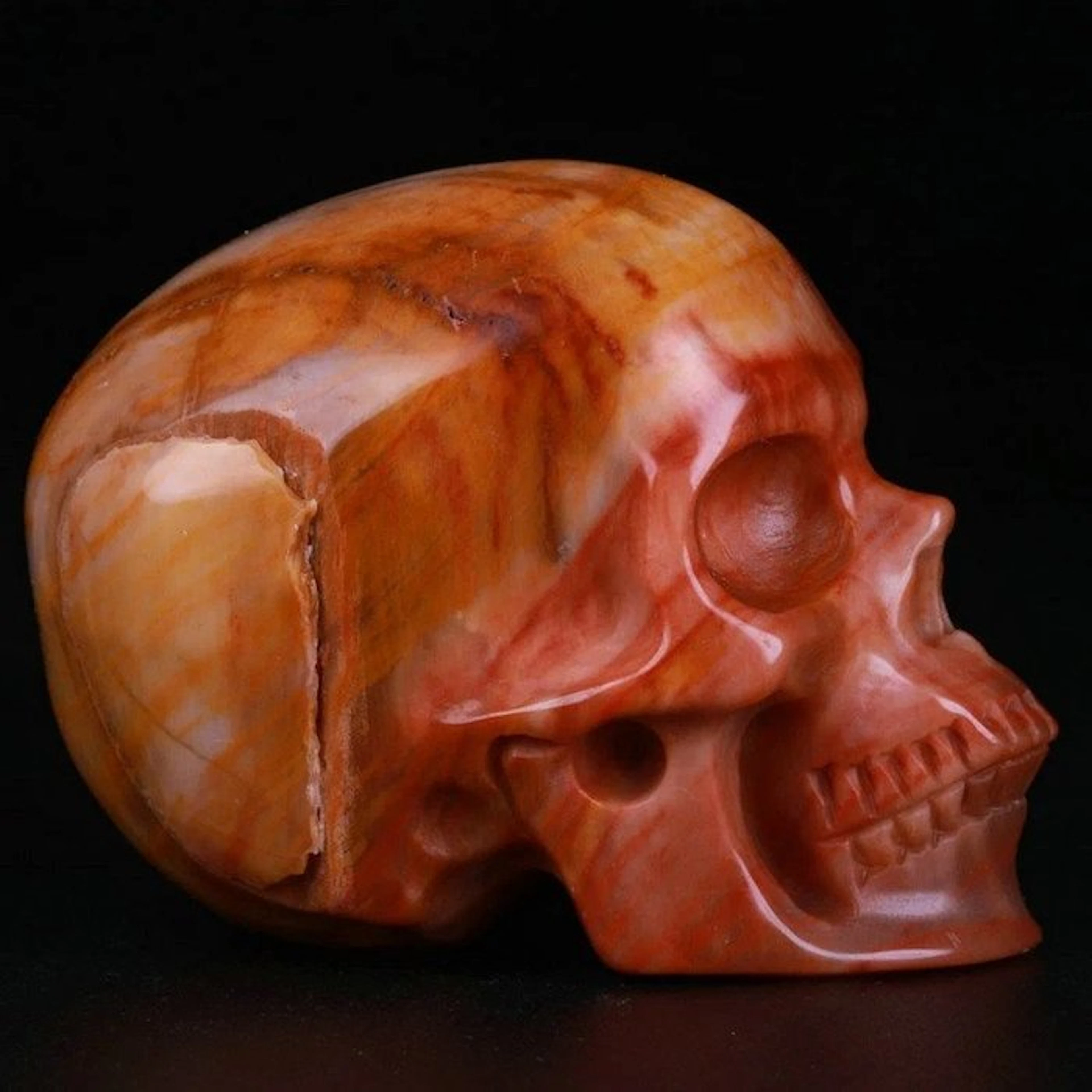 103g Petrified Wood – Heartbeat under Stone