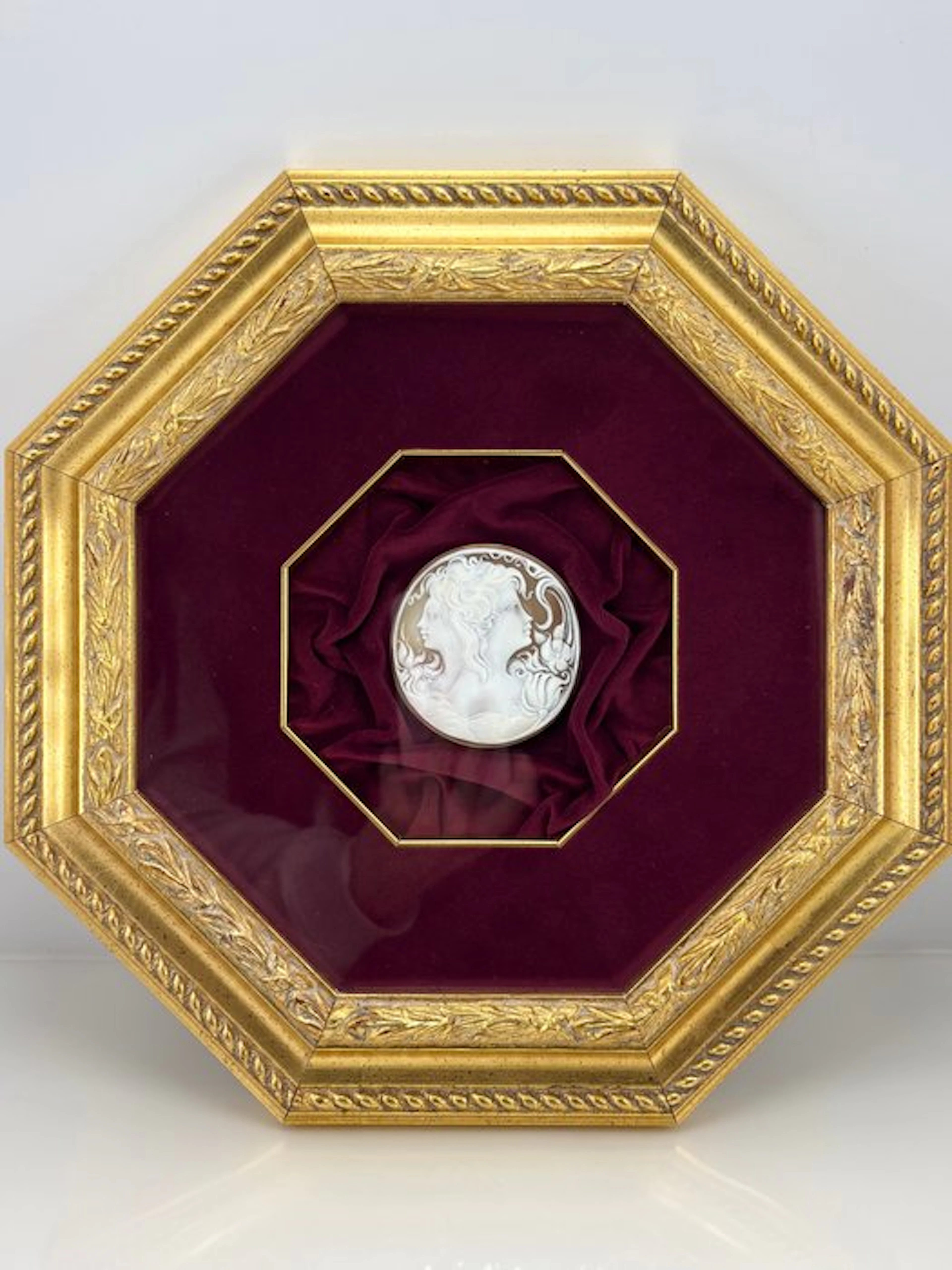 Cassis madagascariensis - Cameo - Hand-engraved cameo