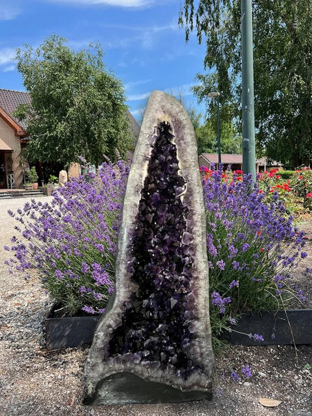 Amethyst Geode - Height: 109 cm - Width: 48 cm- 97 kg - (1)