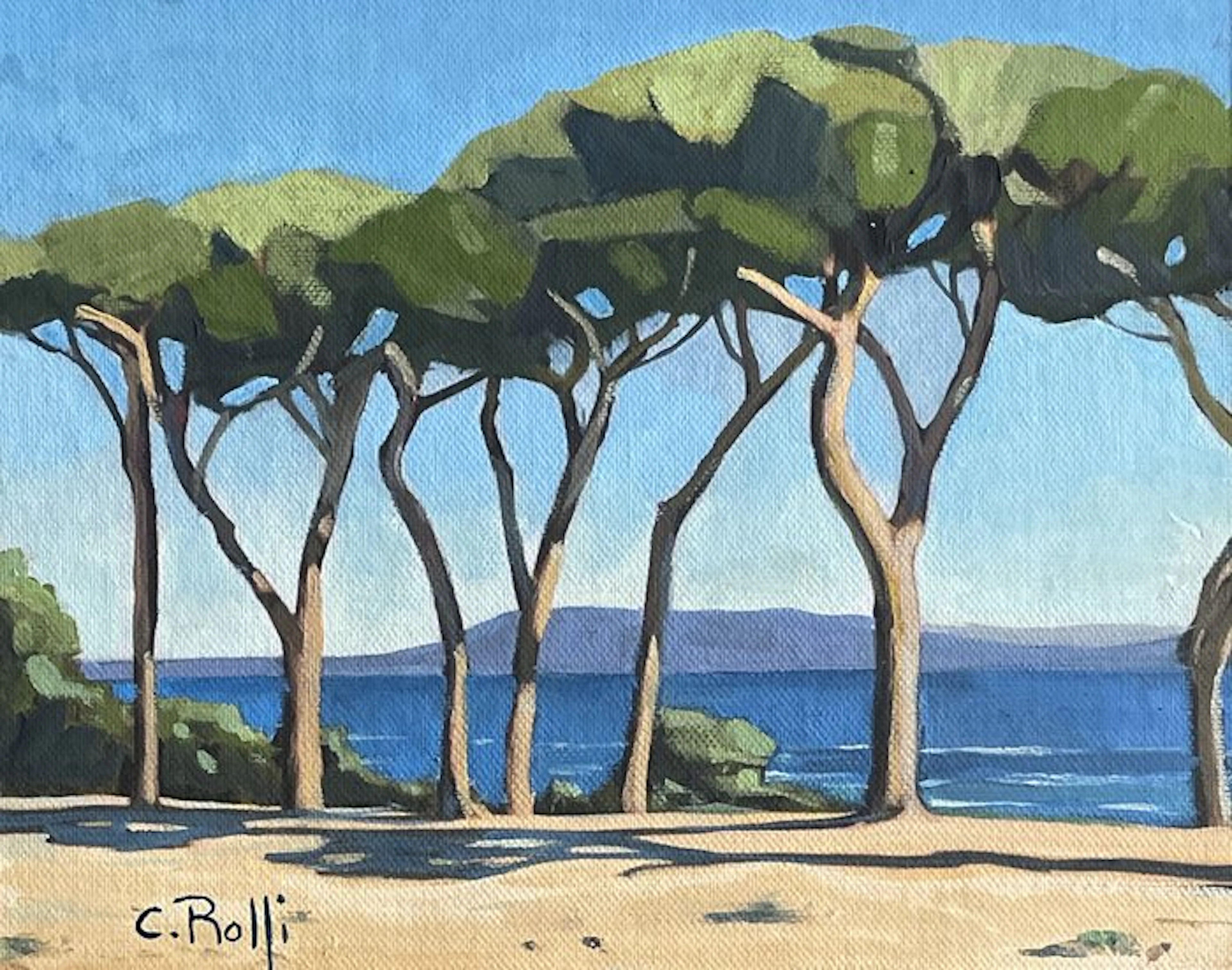 Claudio Rolfi (1960) - Pini sul mare