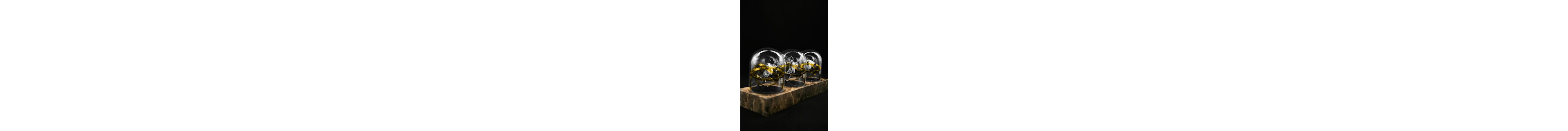 The Voyager III 'C-3PO' watch winder - Gold Rings & Brown...