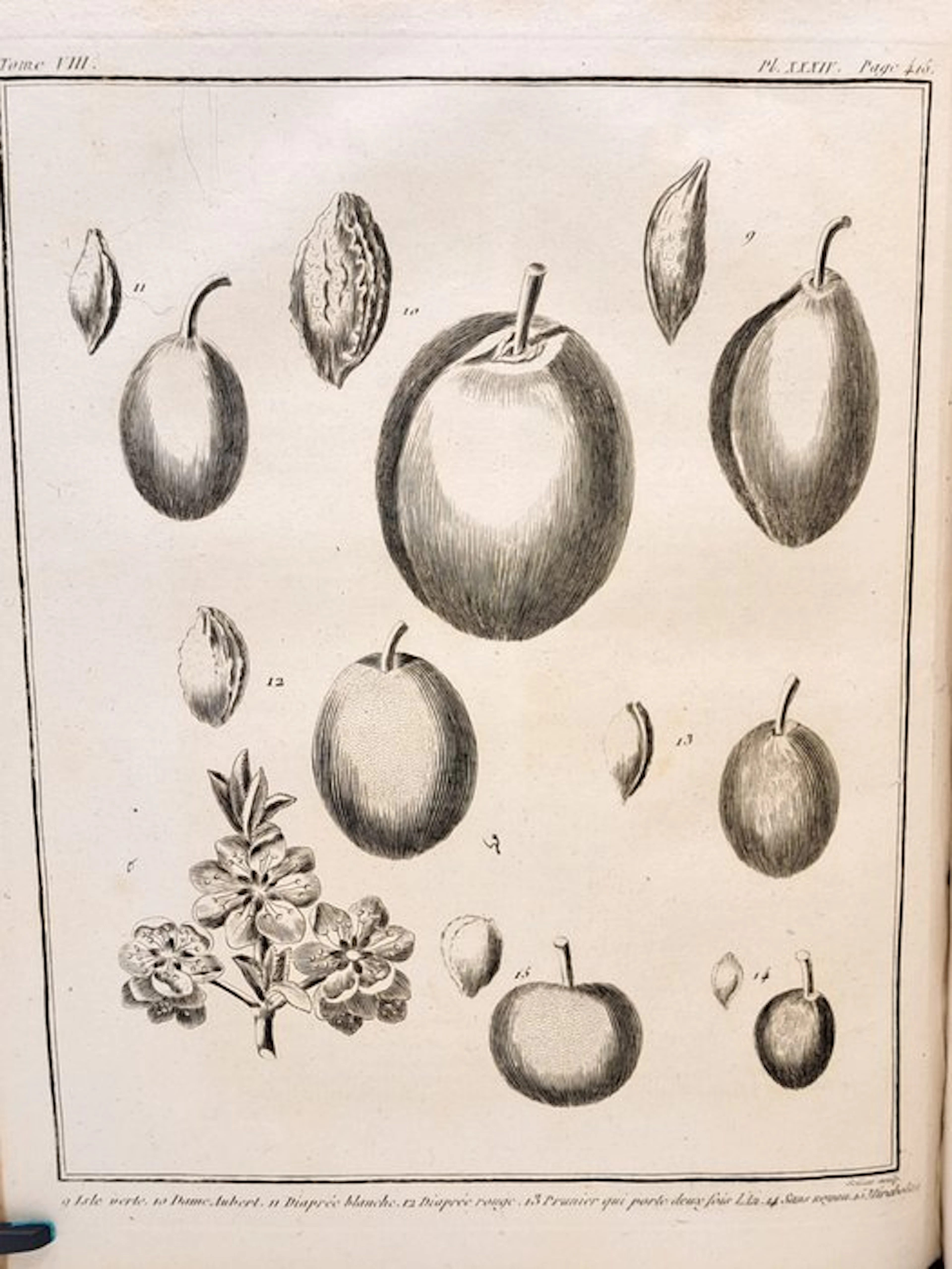 François Rozier - [Tome VIII] - Cours complet d'agriculture - 1789