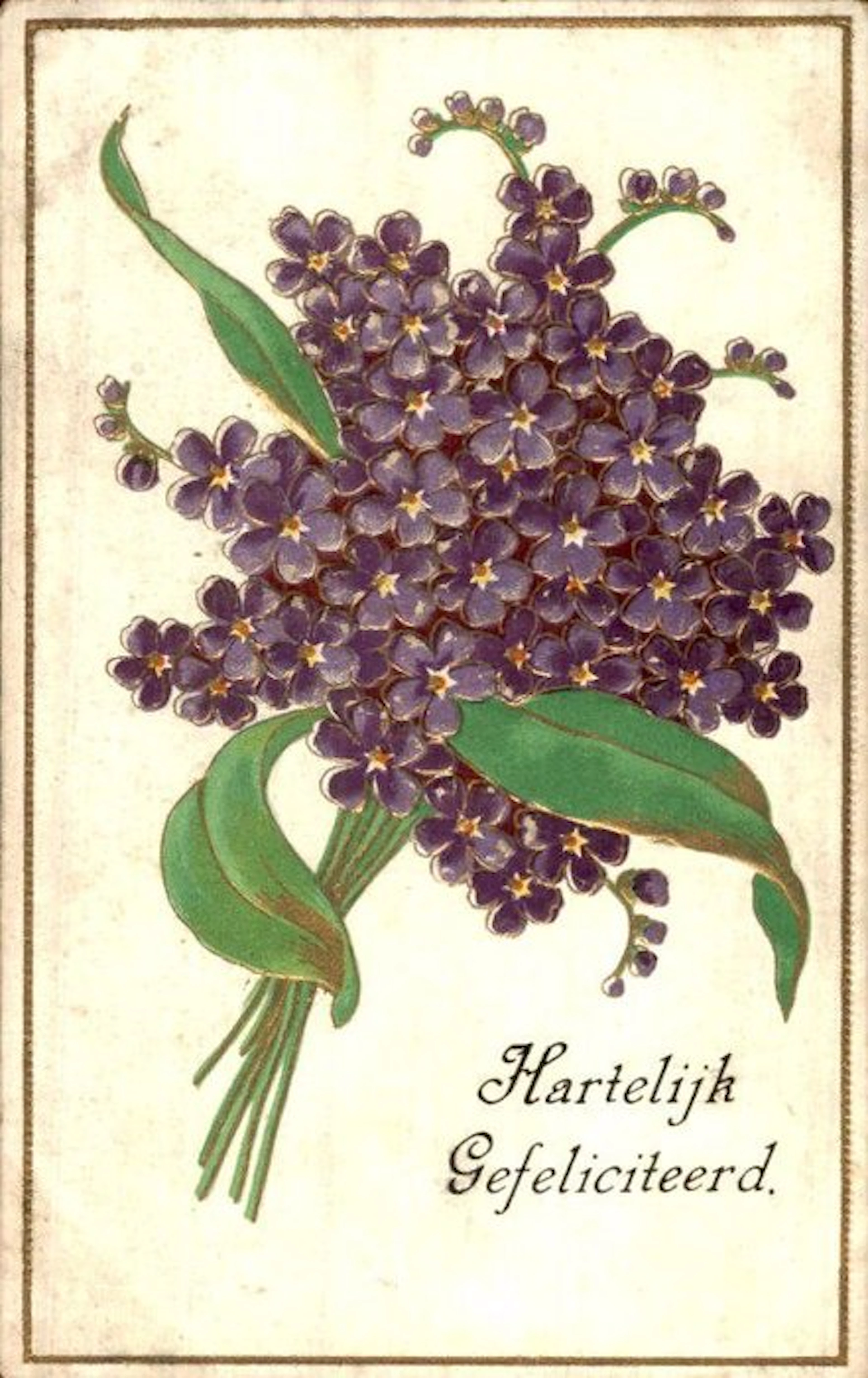 Flowers - Postcard (136) - 1900-1999