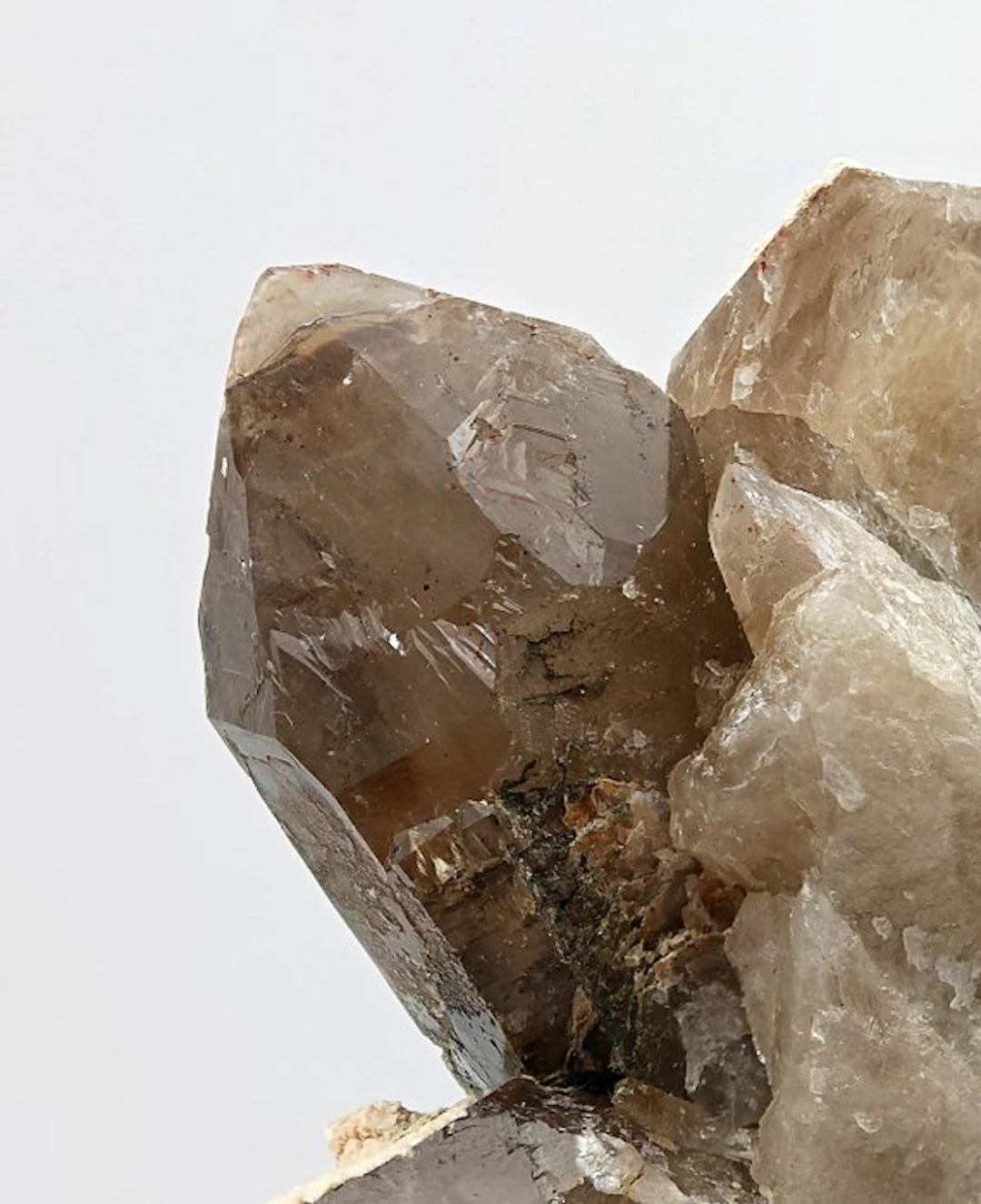 LARGE SMOKY QUARTZ with MICROCLINO Crystals on matrix...