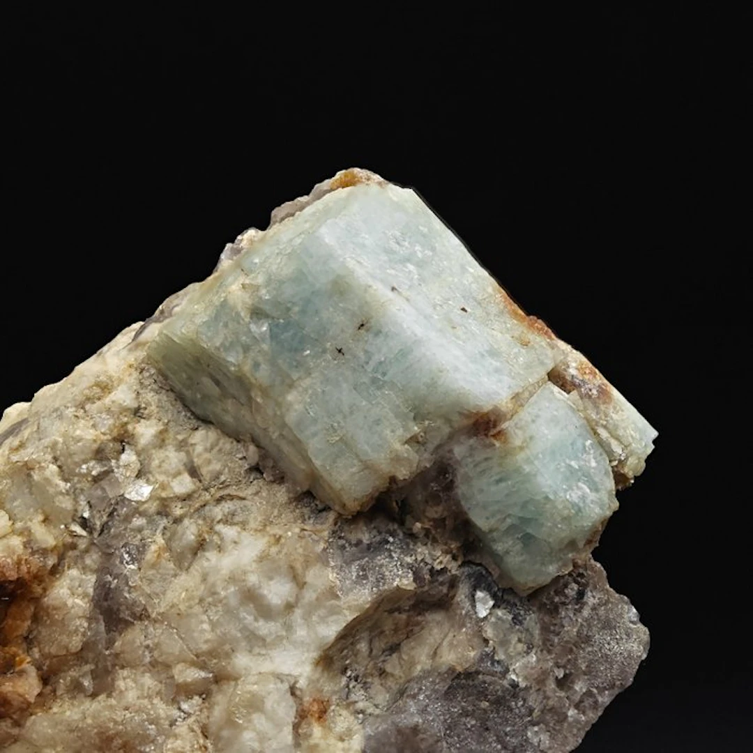 ALPINO, GROSSO BERILLO AZZURRO
