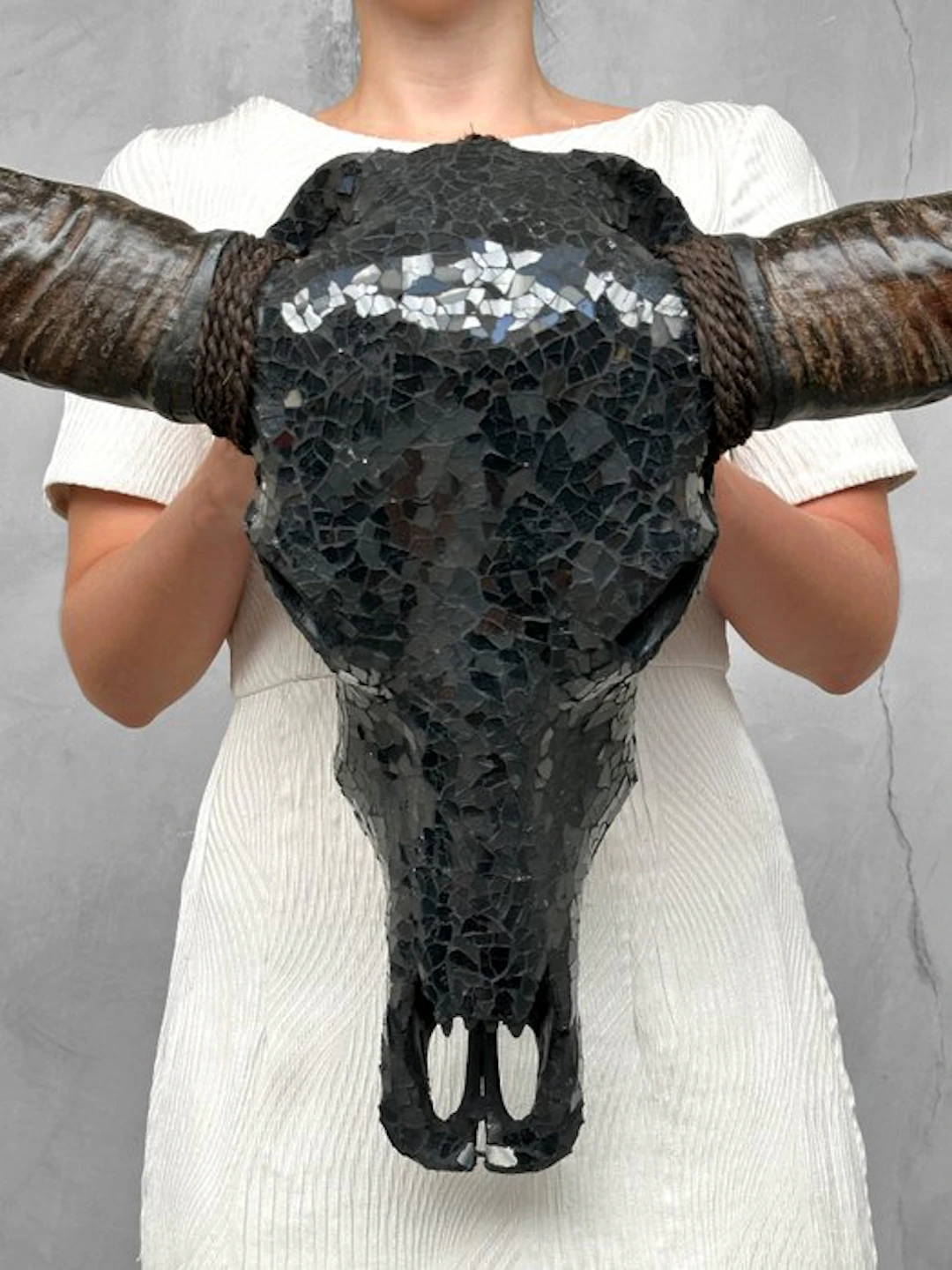 NO RESERVE PRICE - C-Authentic Large Buffalo Skull with...