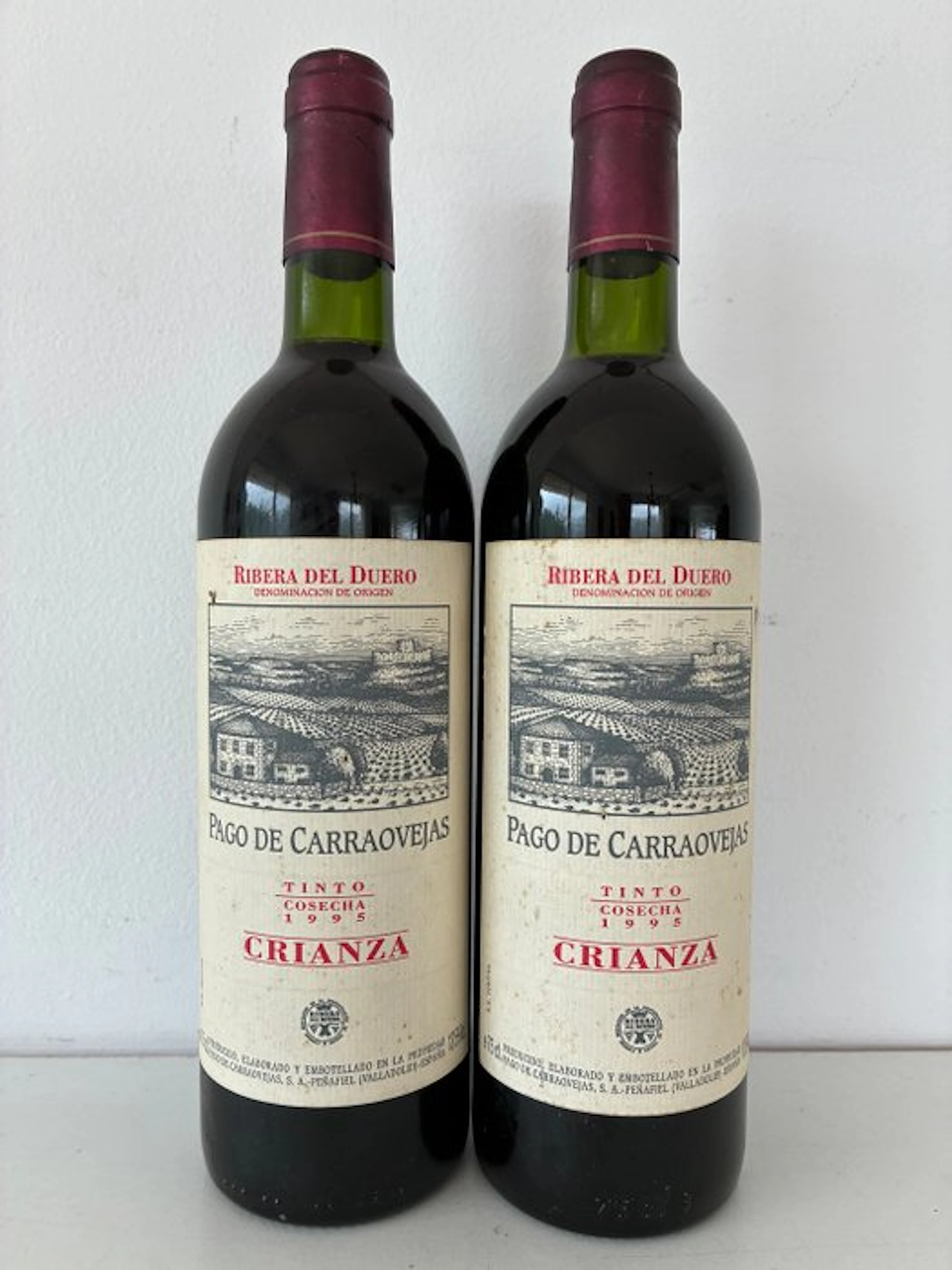 1995 Pago de Carraovejas - Ribera del Duero Crianza - 2 Bottles (0.75L)