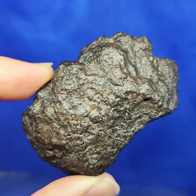XL UREILITE -Primitive Achondrite- (With nano diamonds!) Complete piece