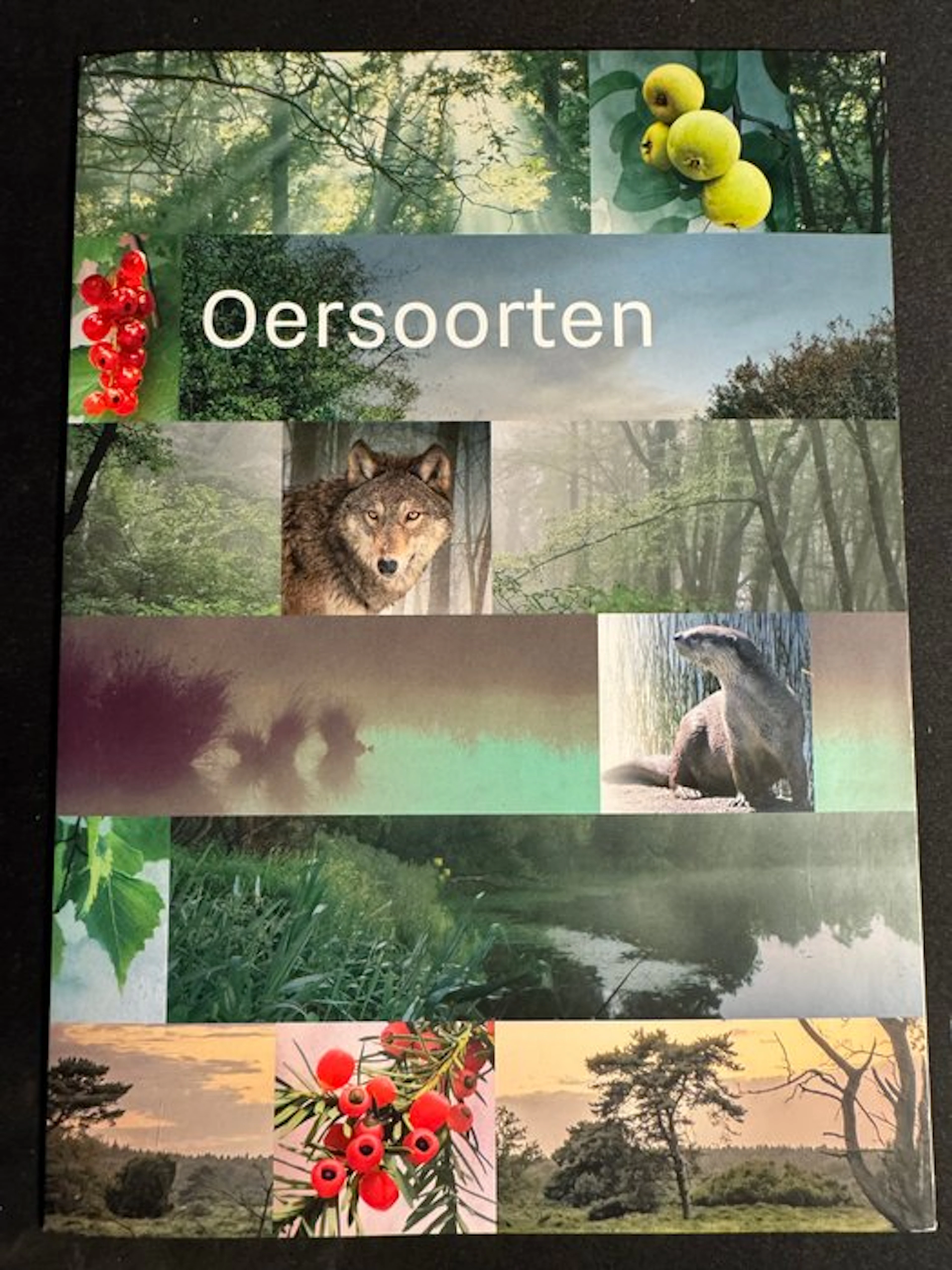 Netherlands 2020/2023 - Post NL ancestral species in preservation folder