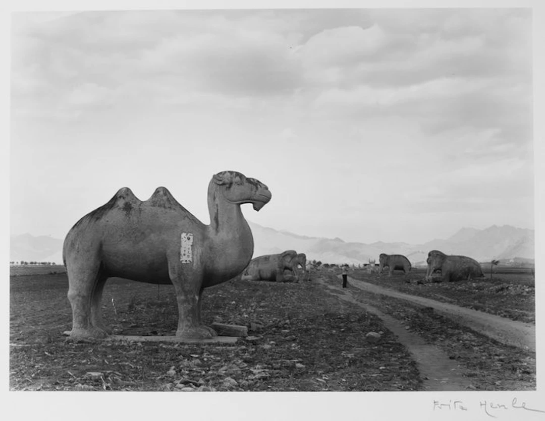 Fritz Henle (1909–1993) - China