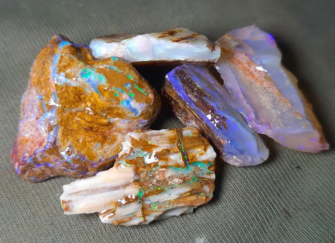63.9 ct - Rare Natural Australian Opal - Wood Fossil - Rough- 12.78 g