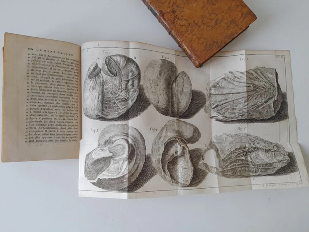 Horace Benedict De Saussure - Voyages dans les Alpes - 1780-1786