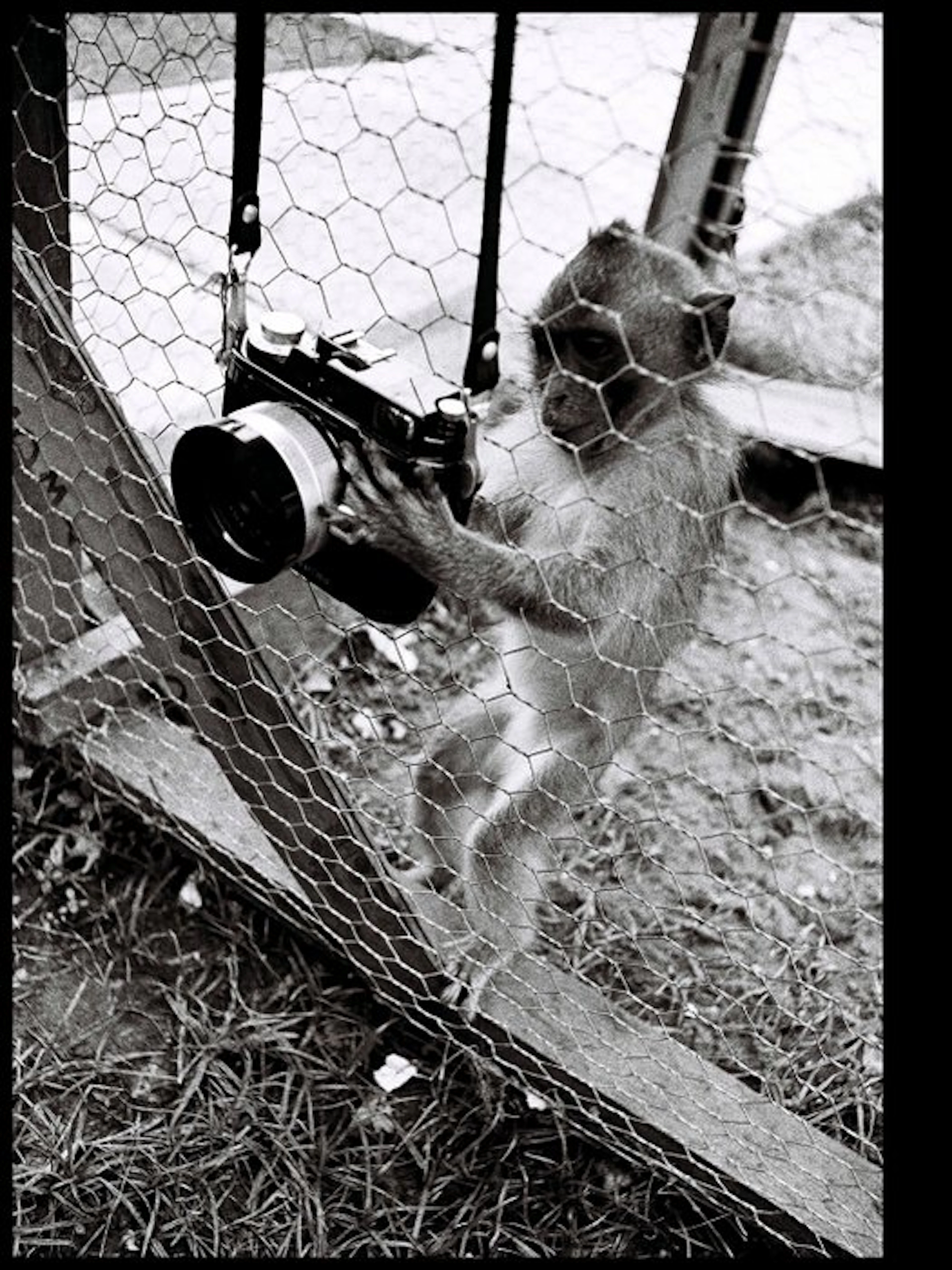 Michael Joseph (1941-) - Through the Wire, Vietnam 1964