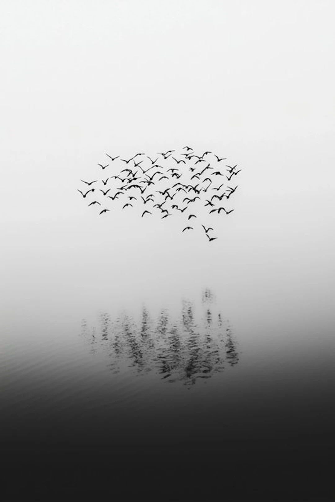 Jorge Omeñaca - A cucu flight