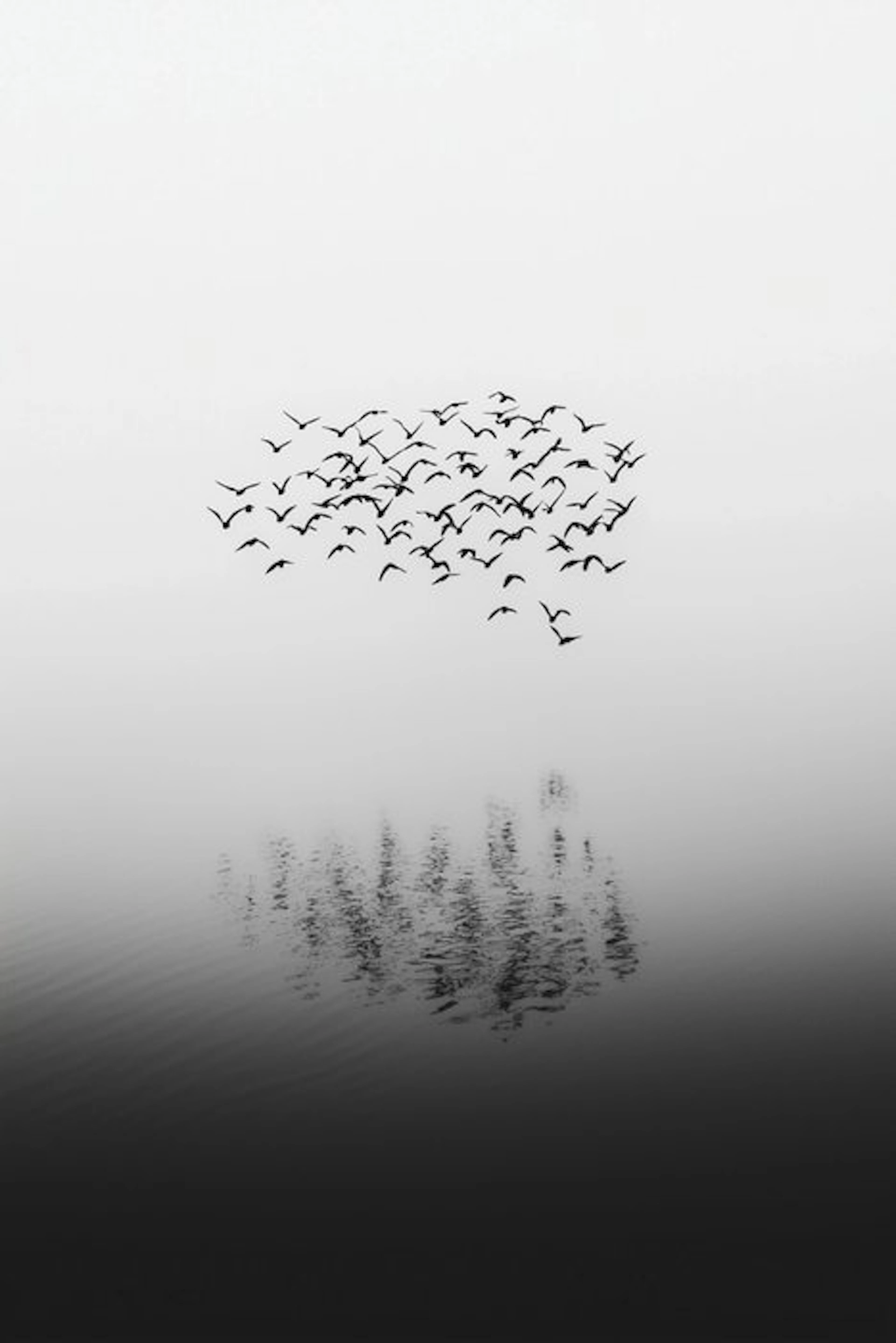 Jorge Omeñaca - A cucu flight