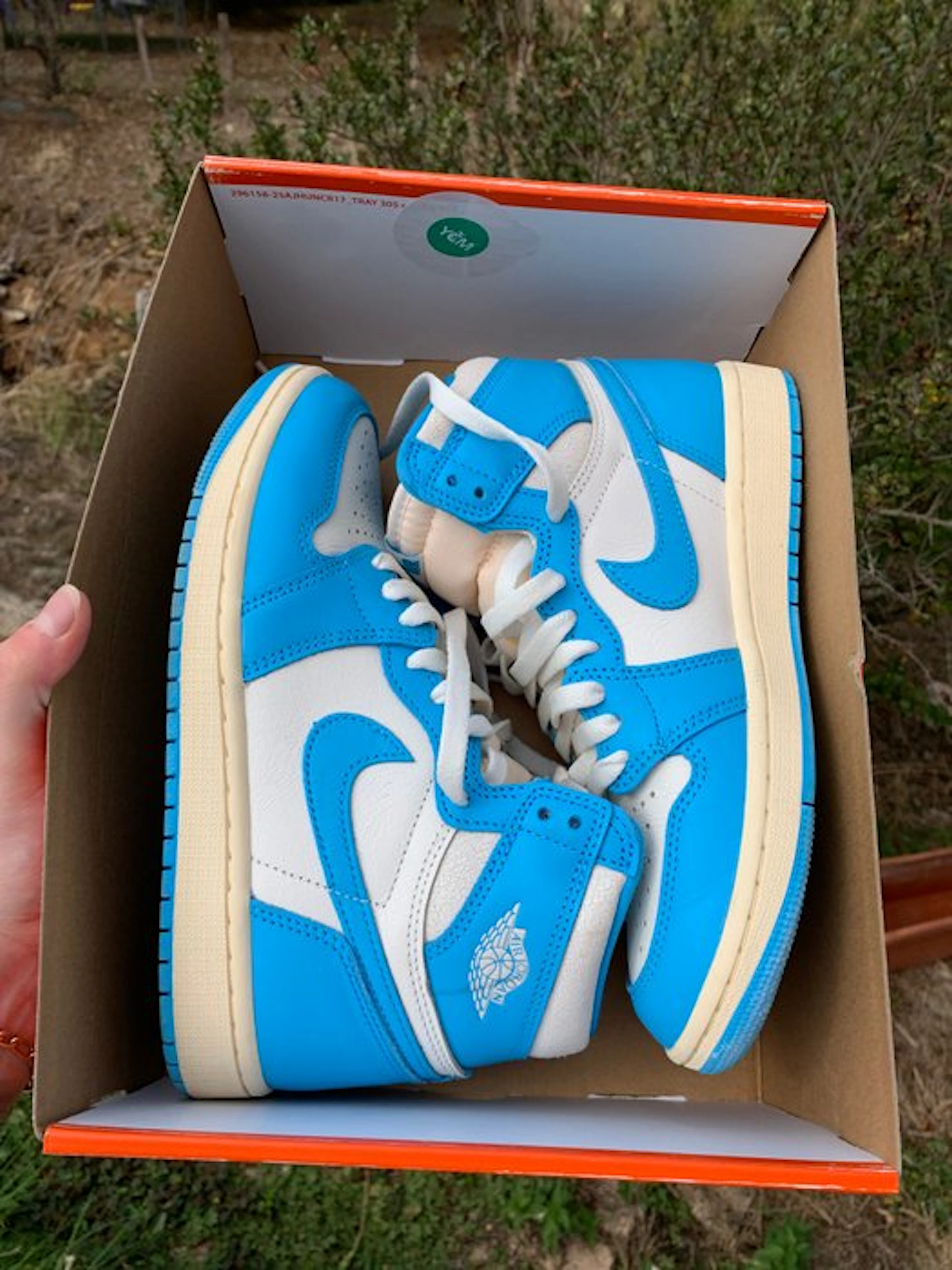 Air Jordan - Air Jordan 1 High - Sneakers - Size: EU 38.5