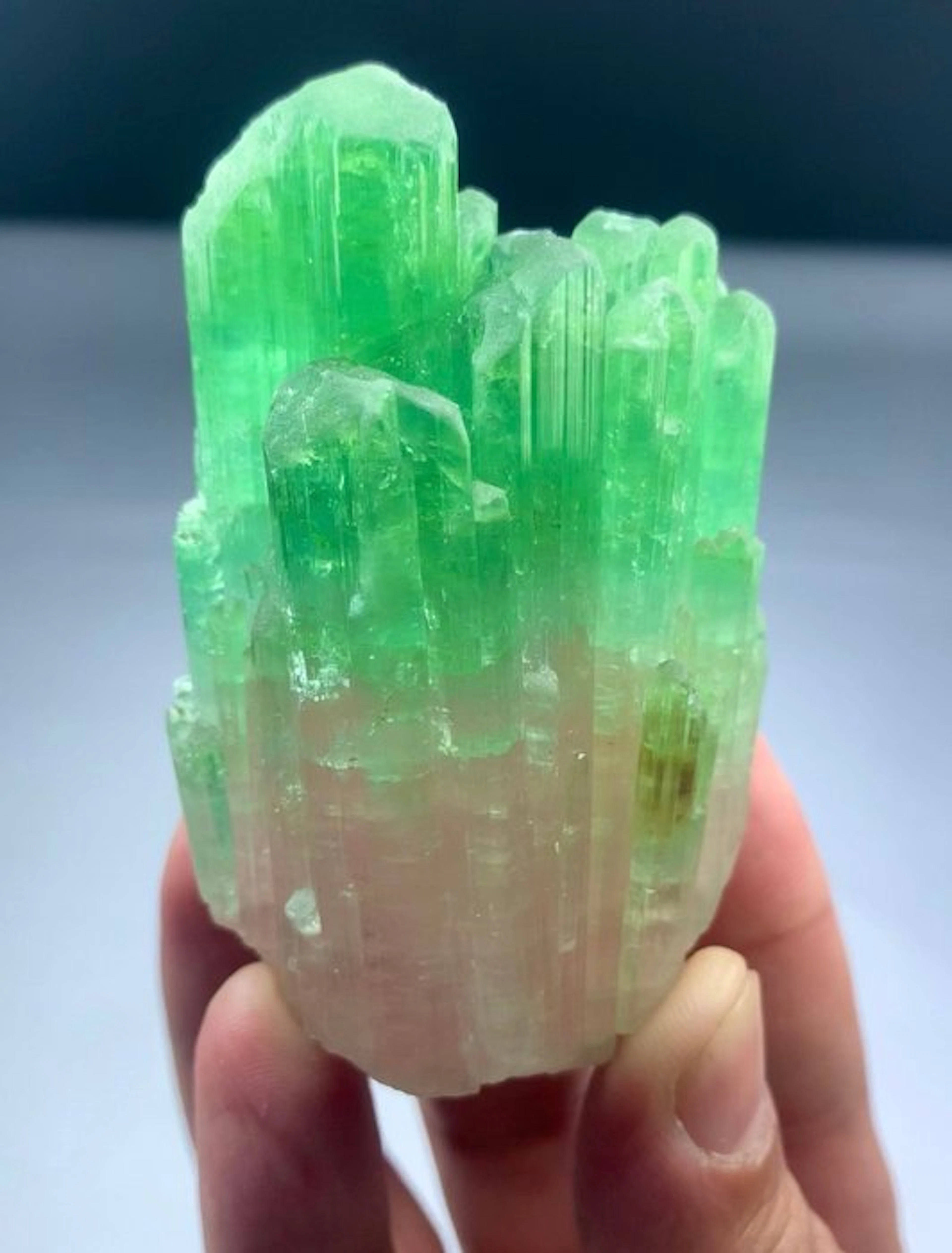 Bicolour tourmaline Crystal - Height: 72 mm - Width: 44 mm- 160 g - (1)