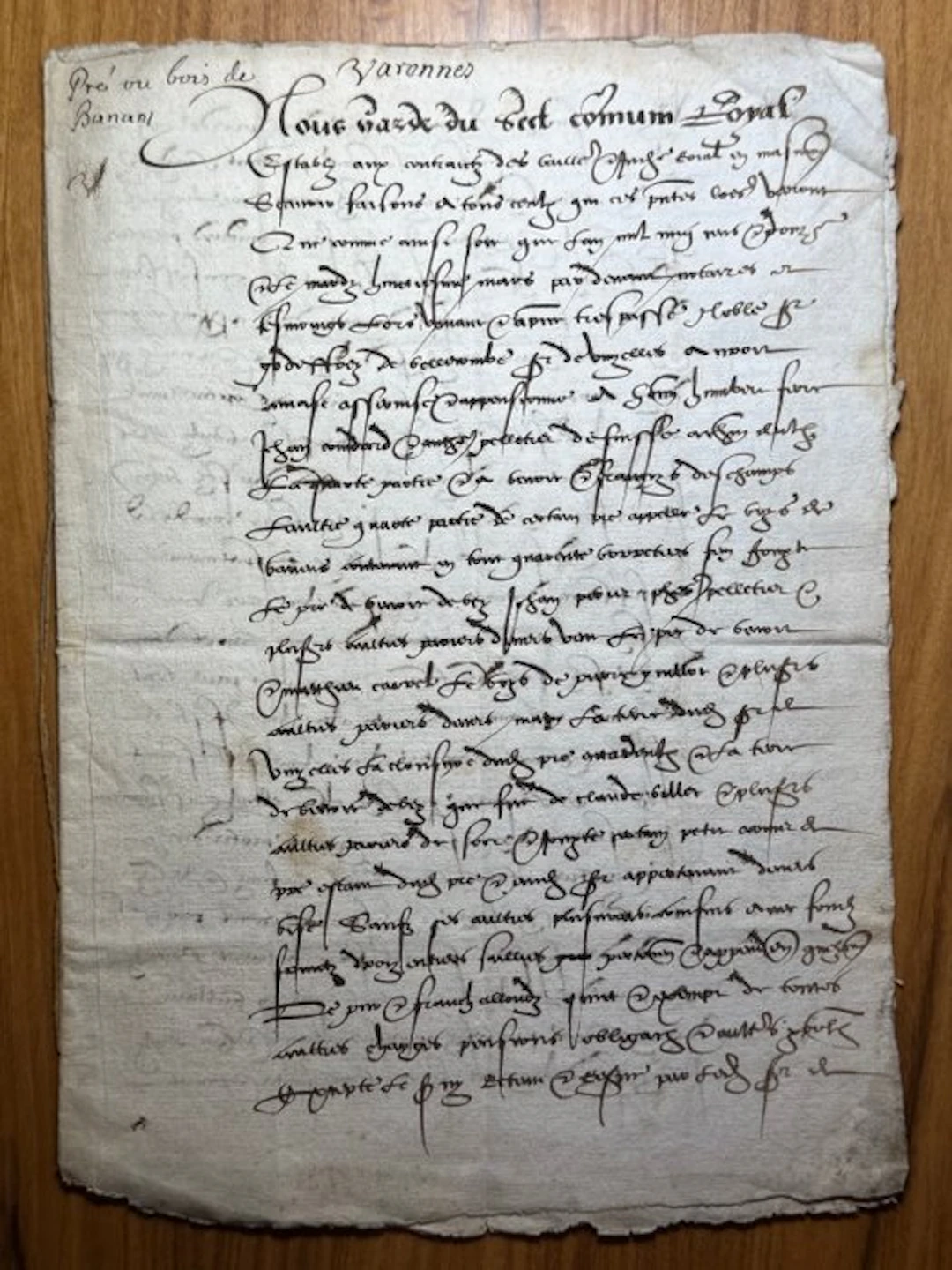 Notaire under the Reign King Louis XII