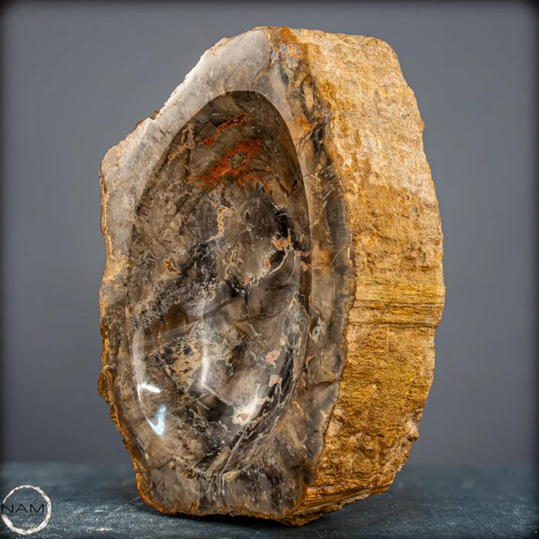 Natural petrified wood bowl from Indonesia from Indonesia- 3731.13 g