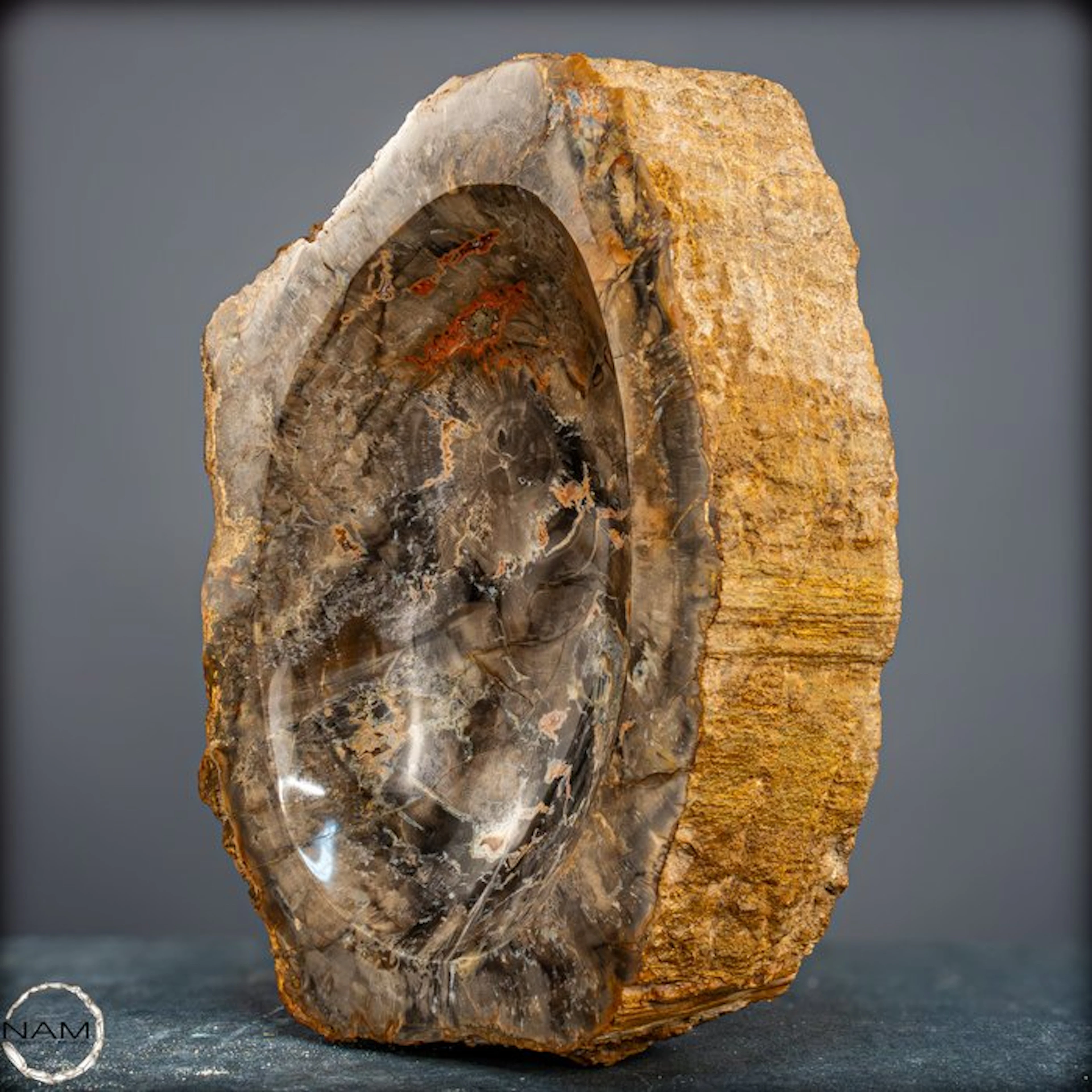 Natural petrified wood bowl from Indonesia from Indonesia- 3731.13 g