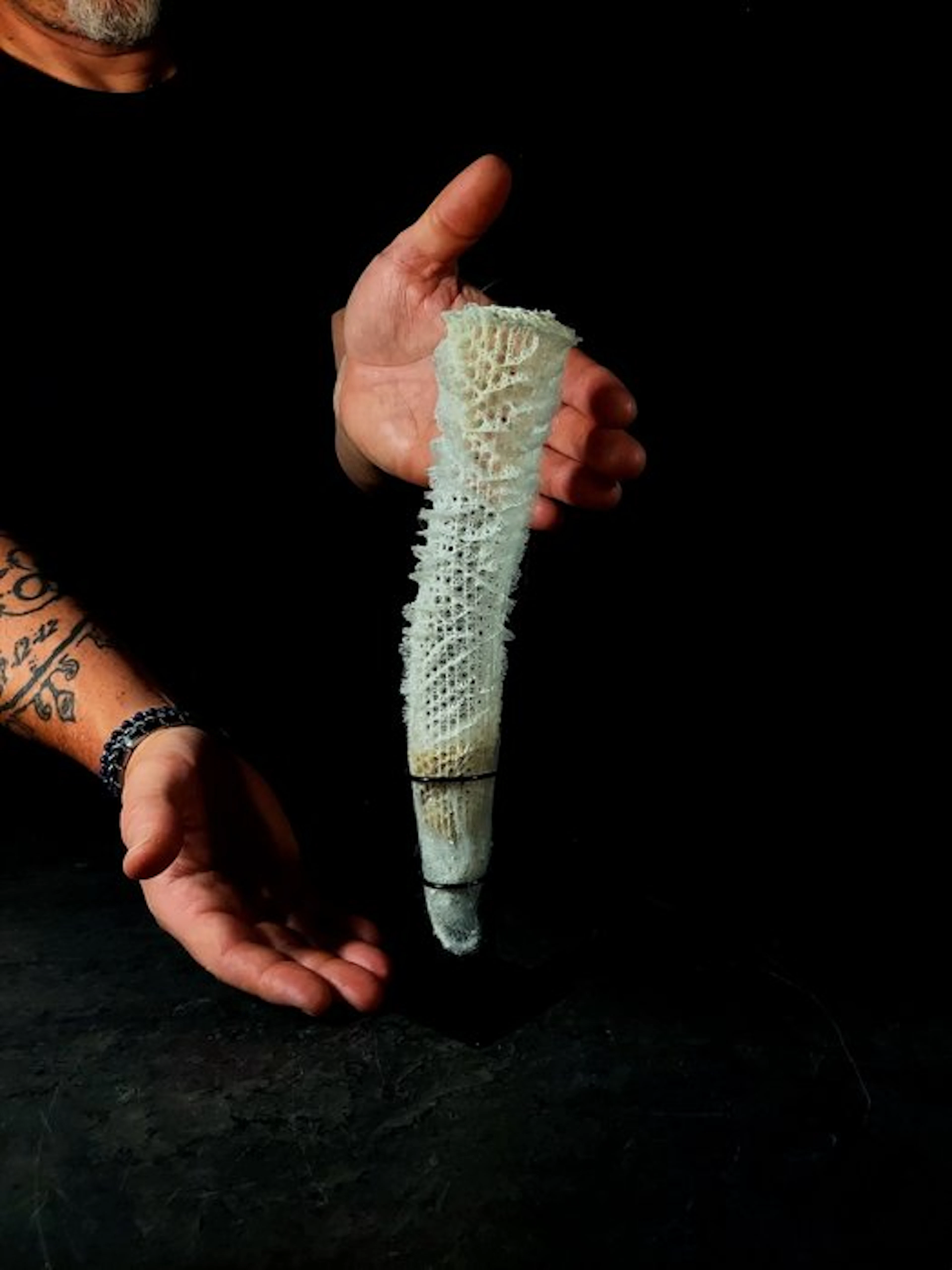 SENZA RISERVA fascinating,peculiar Venus sponge basket...