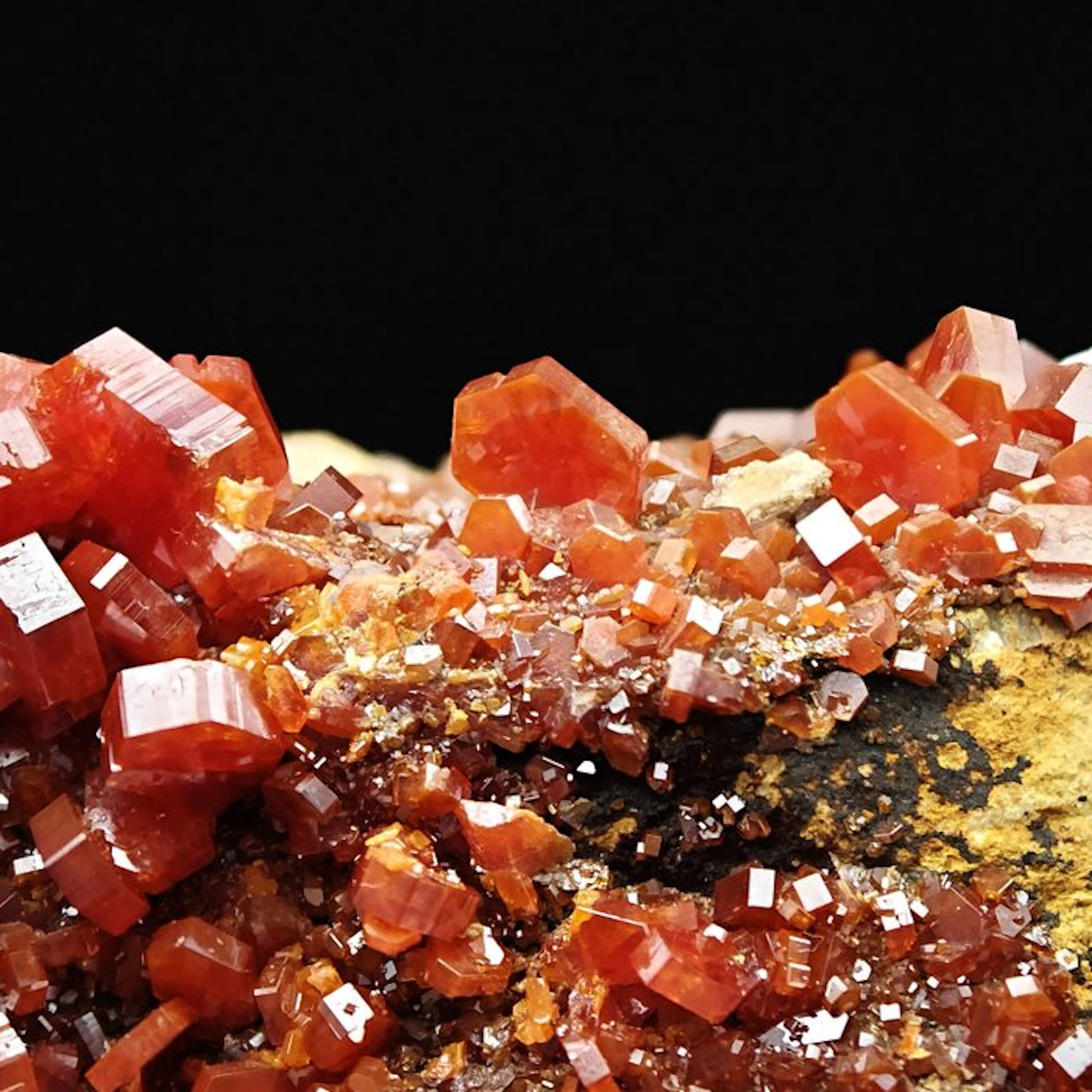 Blood-Red Vanadinite Storm on Goethite Crystals on matrix...