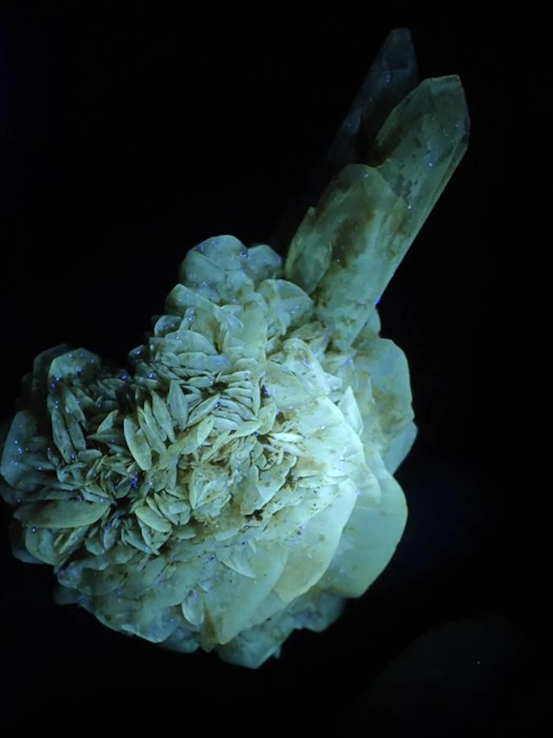 Selenite Rose Fluorescent - Height: 8 cm - Width: 5 cm- 110 g