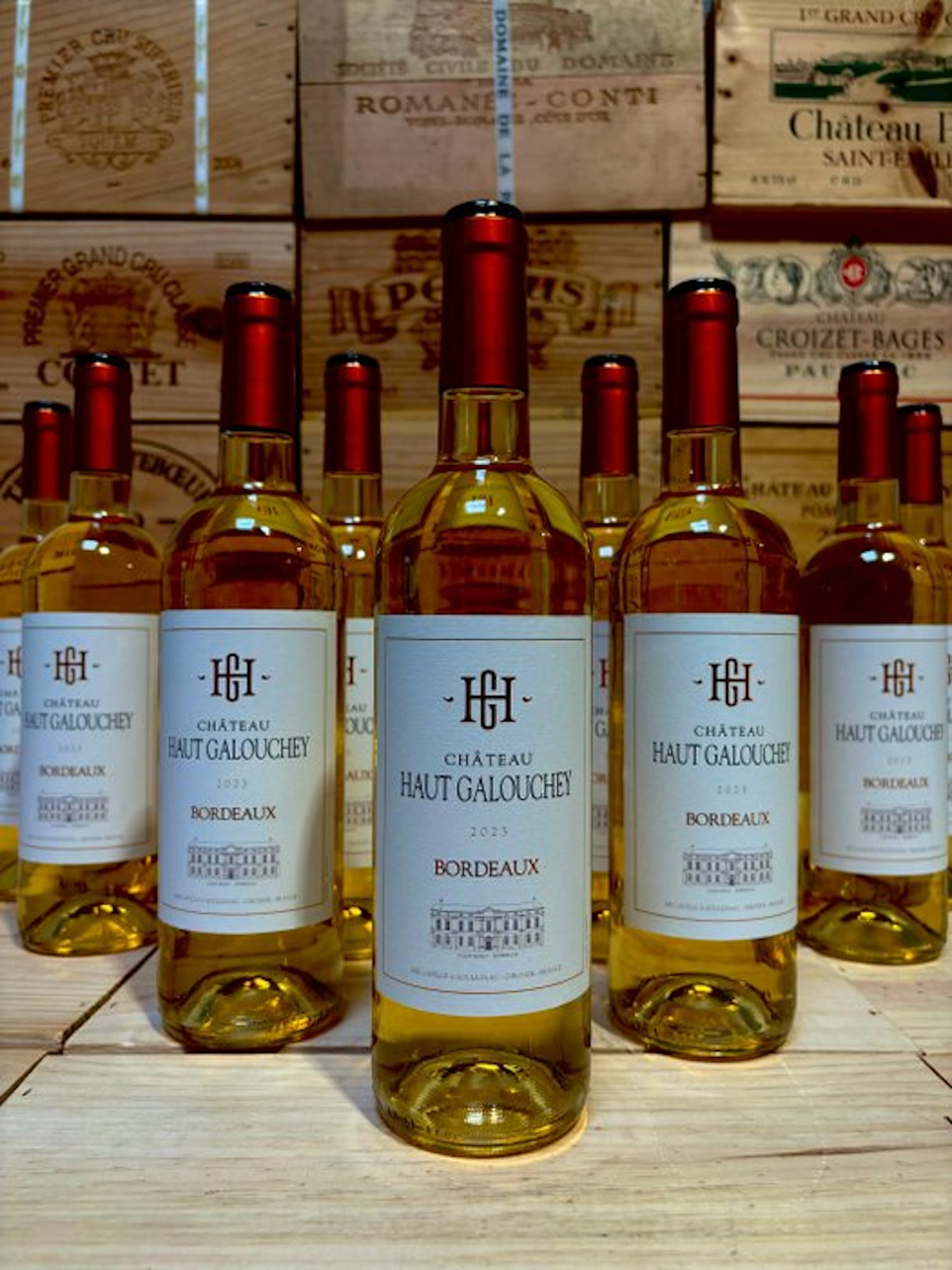 2023 Château Haut Galouchey - Bordeaux - 12 Bottles (0.75L)