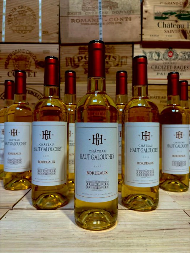 2023 Château Haut Galouchey - Bordeaux - 12 Bottles (0.75L)