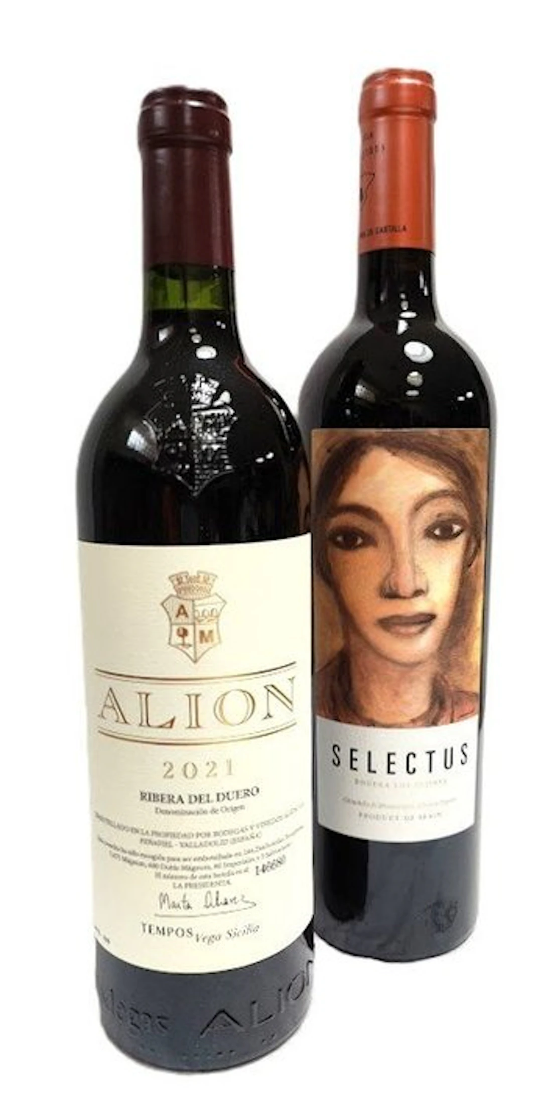 2021 Tempos Vega Sicilia