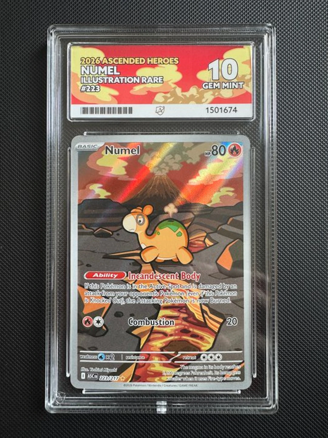 Pokémon - 1 Graded card - Numel 223/227 - ACE 10