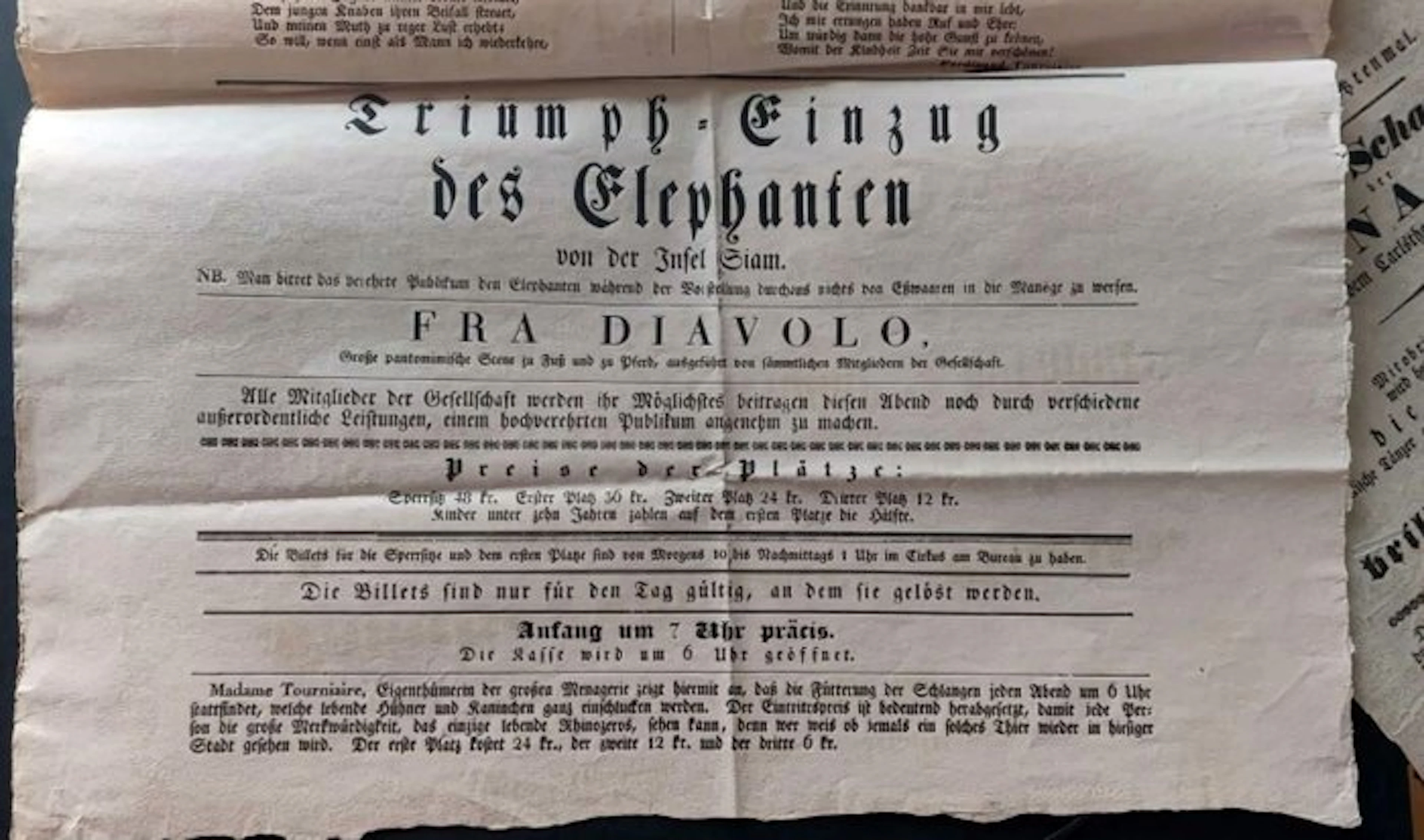 Triumph-Einzug des Elephanten von der Insel Siam - 1834