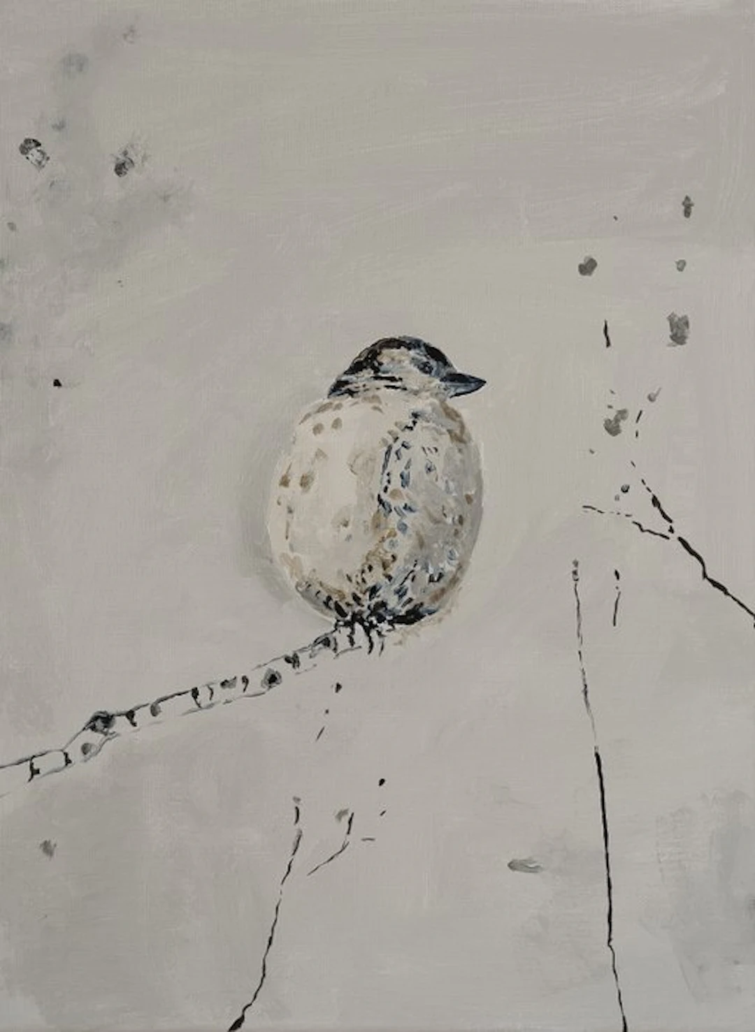 Matthieu van Riel - Grey Bird