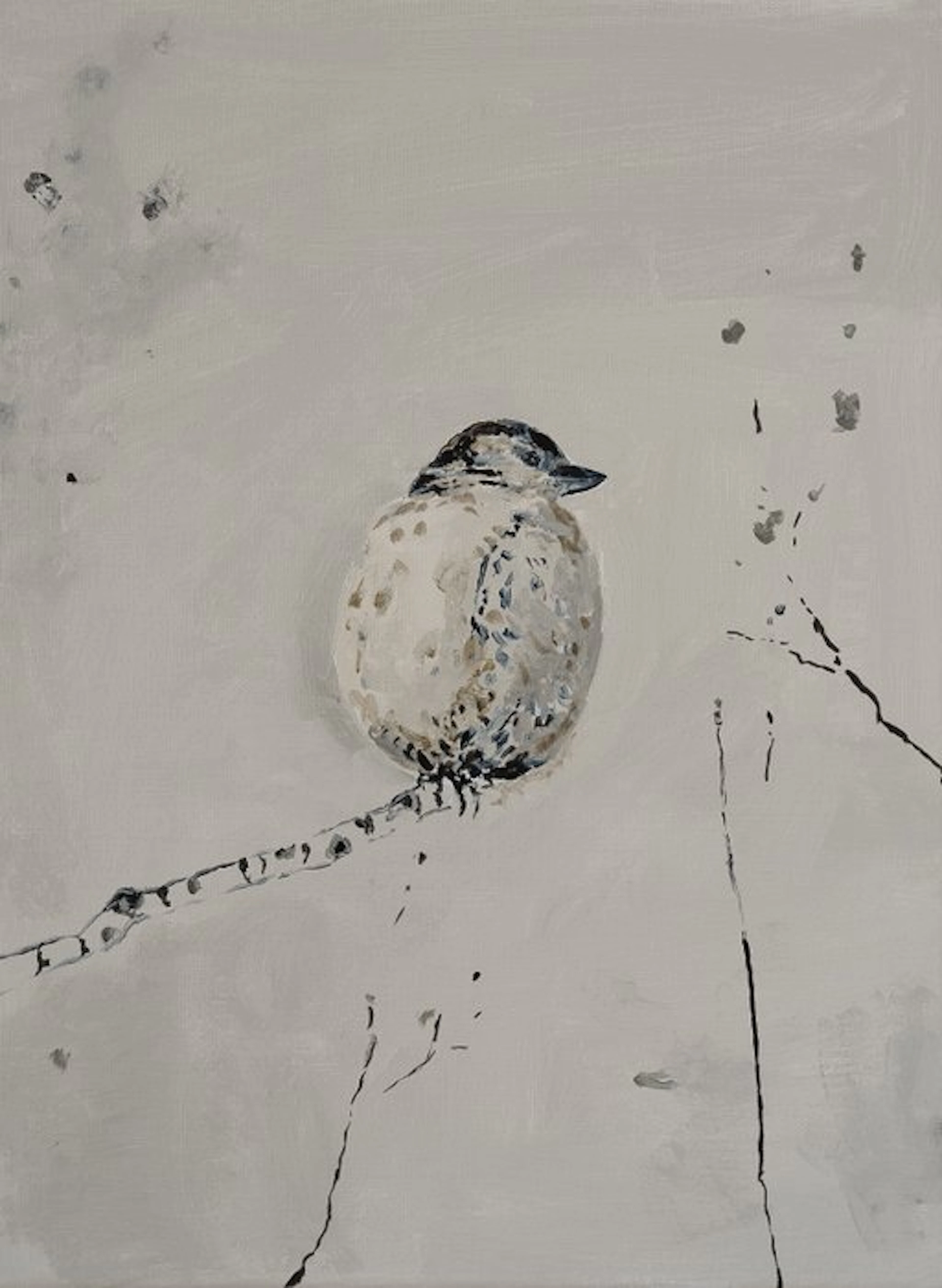 Matthieu van Riel - Grey Bird