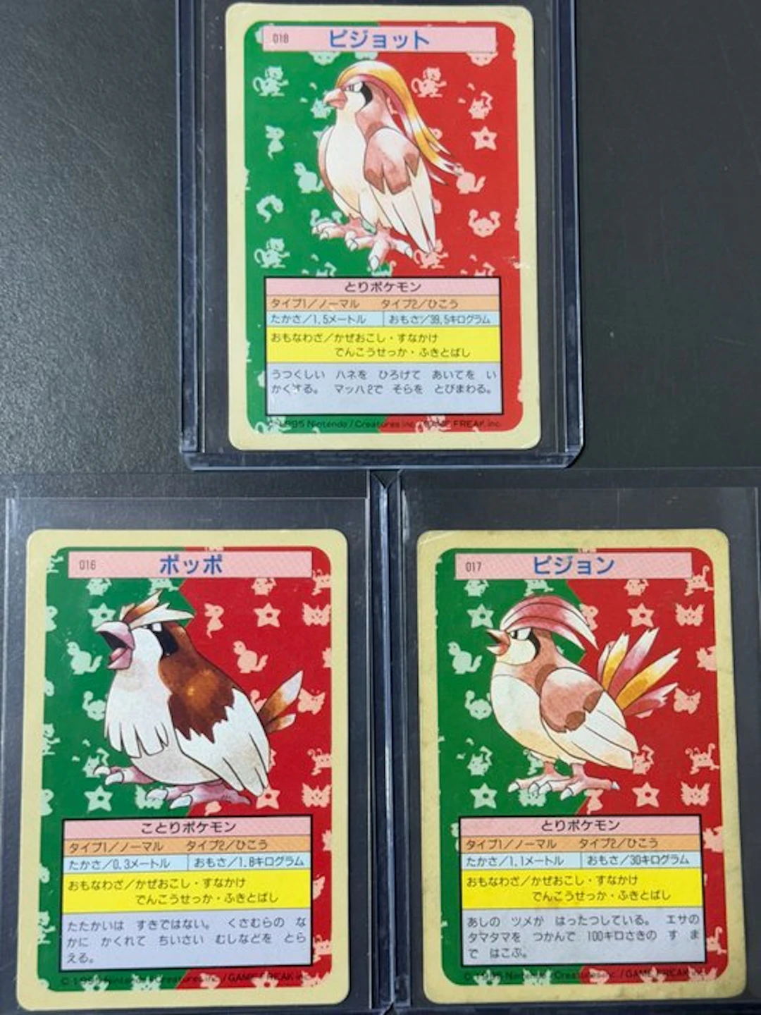 Pokémon - 3 Card - Pidgey