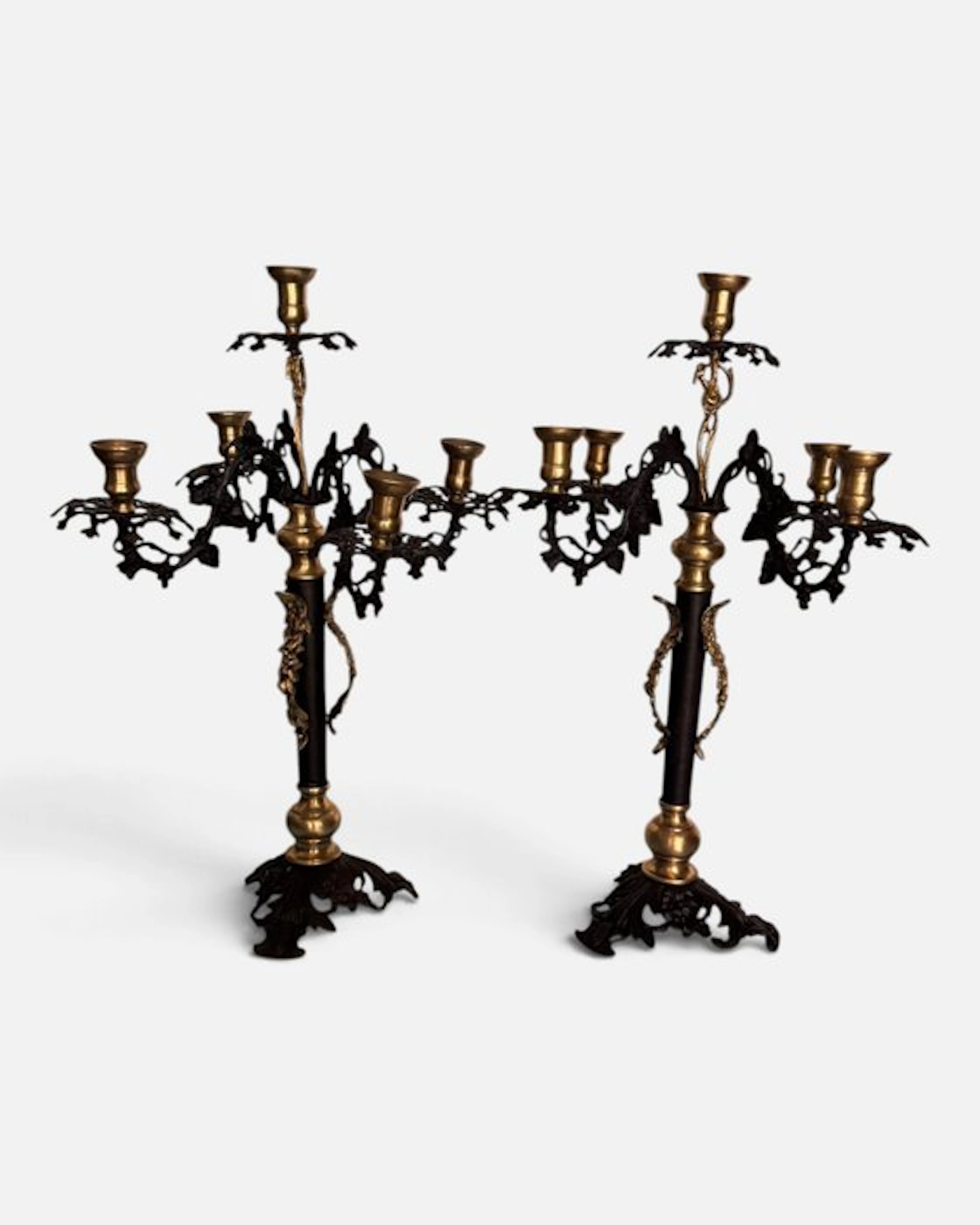 Candelabrum (2) - Spelter, Brass - Louis XV with five flames