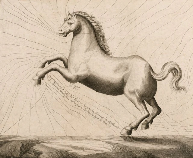 Solleysel - Le Parfait Mareschal - 1744