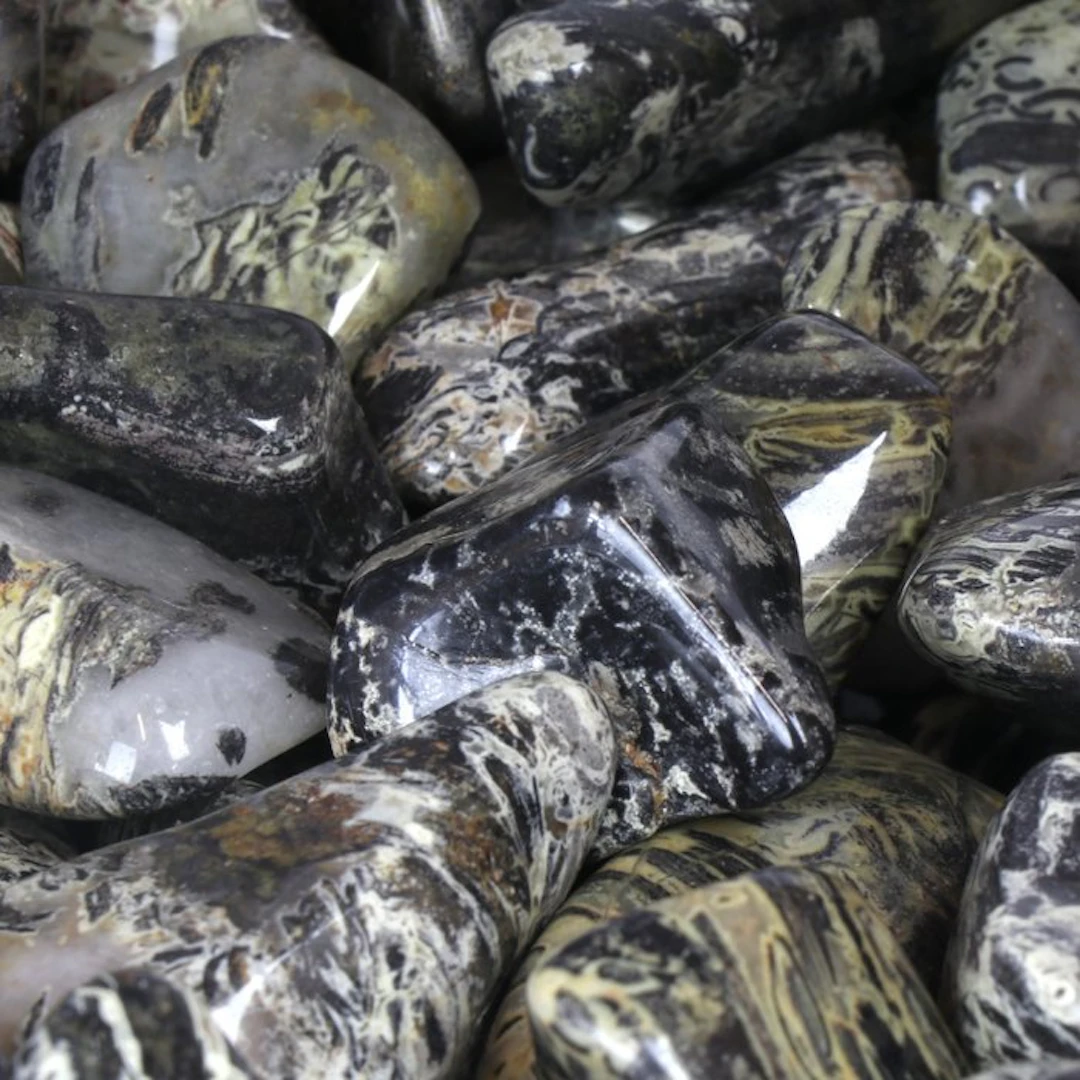 Last Lots - Silver Leaf Jasper - XL Wholesale Lot- 1 kg