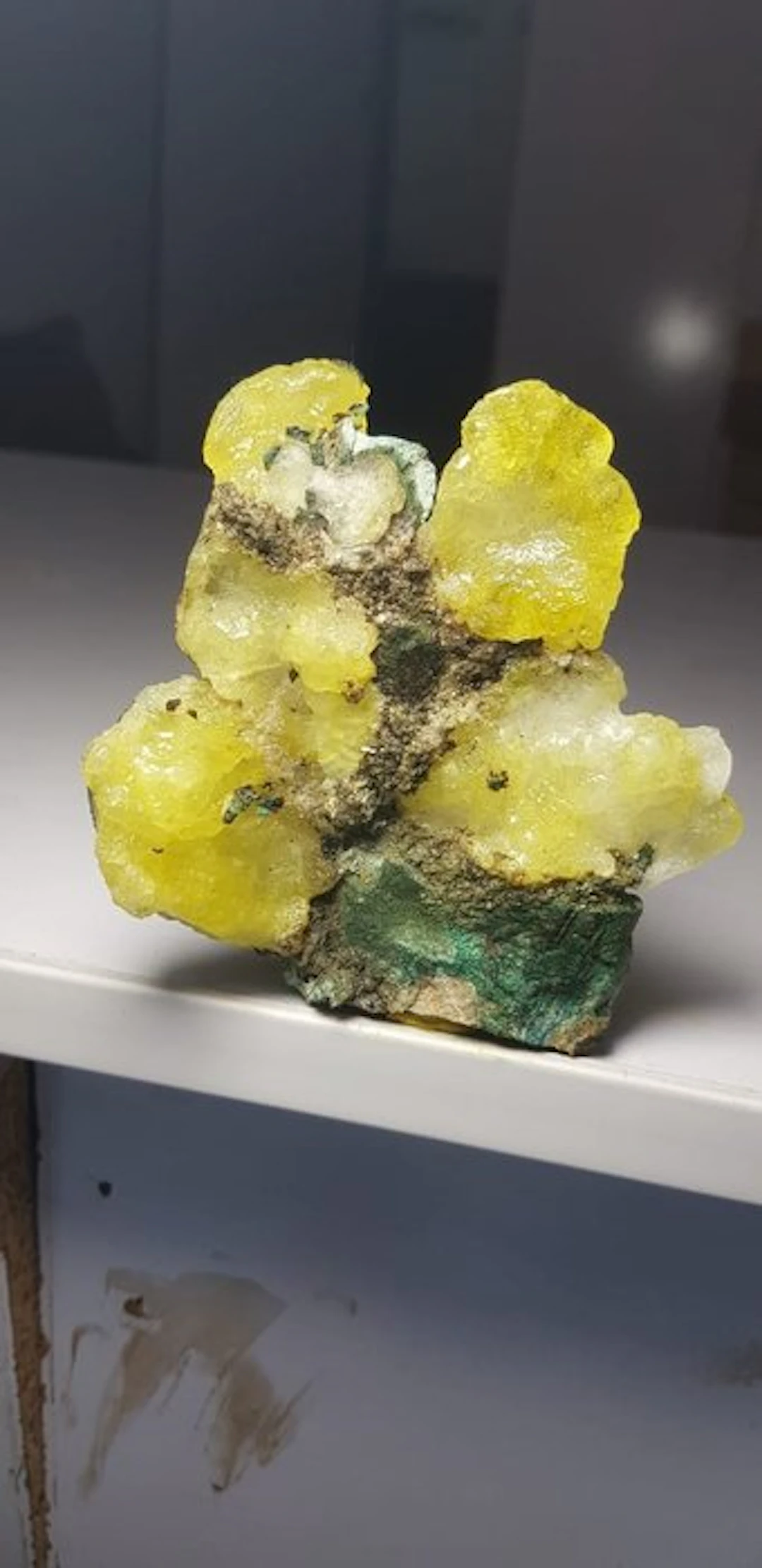 Tree shaped brucite Specimen - Height: 95 mm - Width: 92 mm- 111 g - (1)