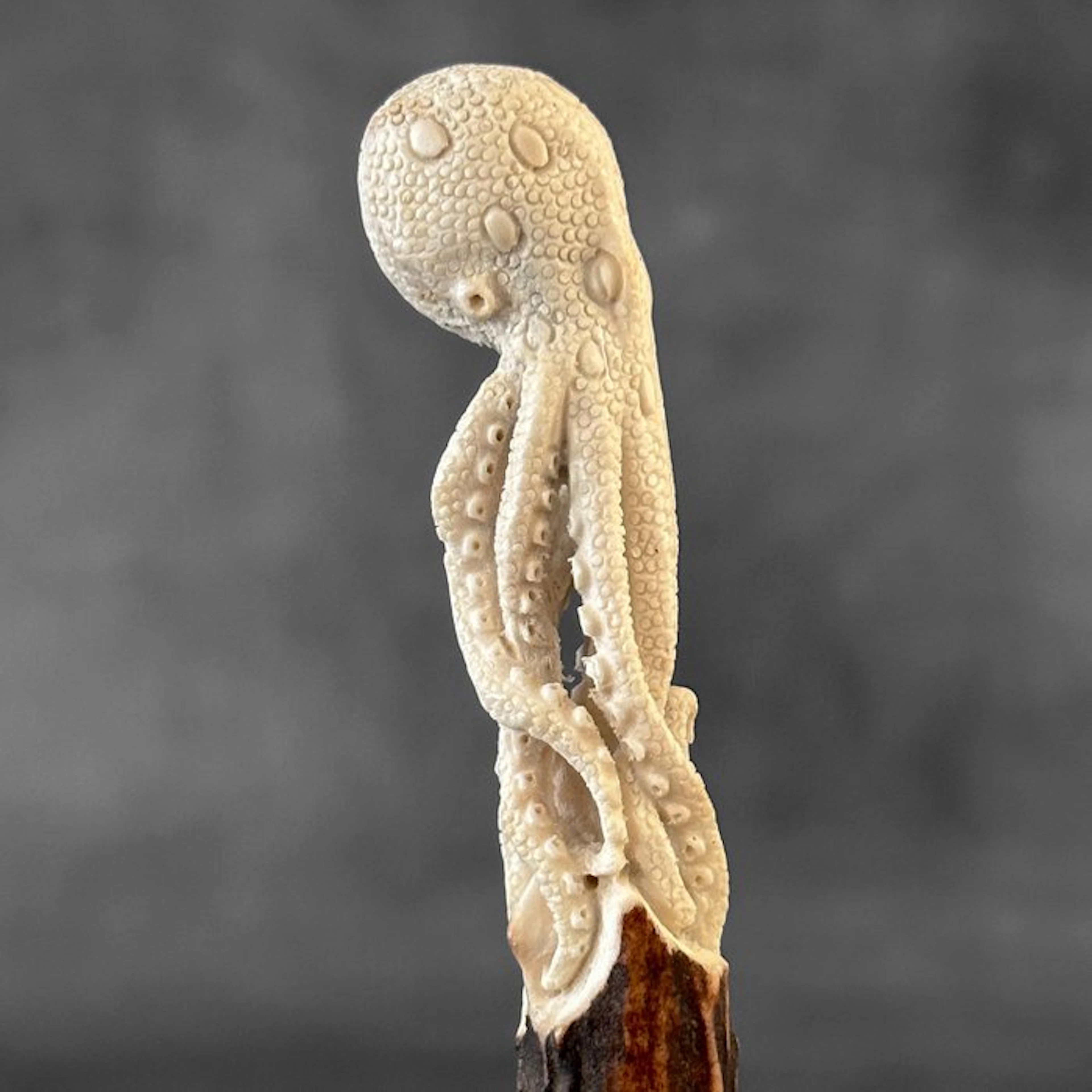 Carving, NO RESERVE PRICE - Stunning Octopus carving from...