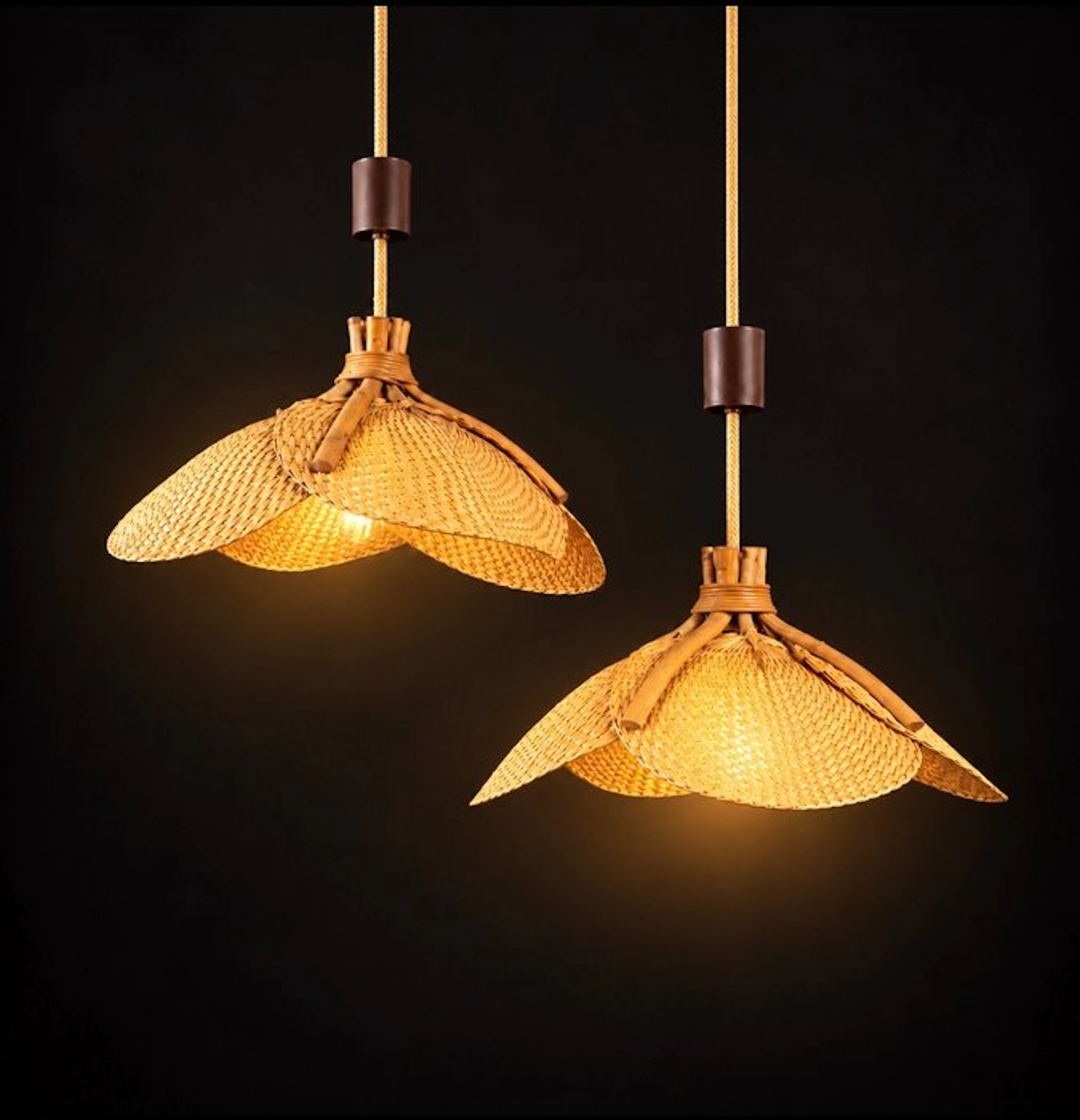 Ceiling lamp (2) - Rattan - Fan lamps