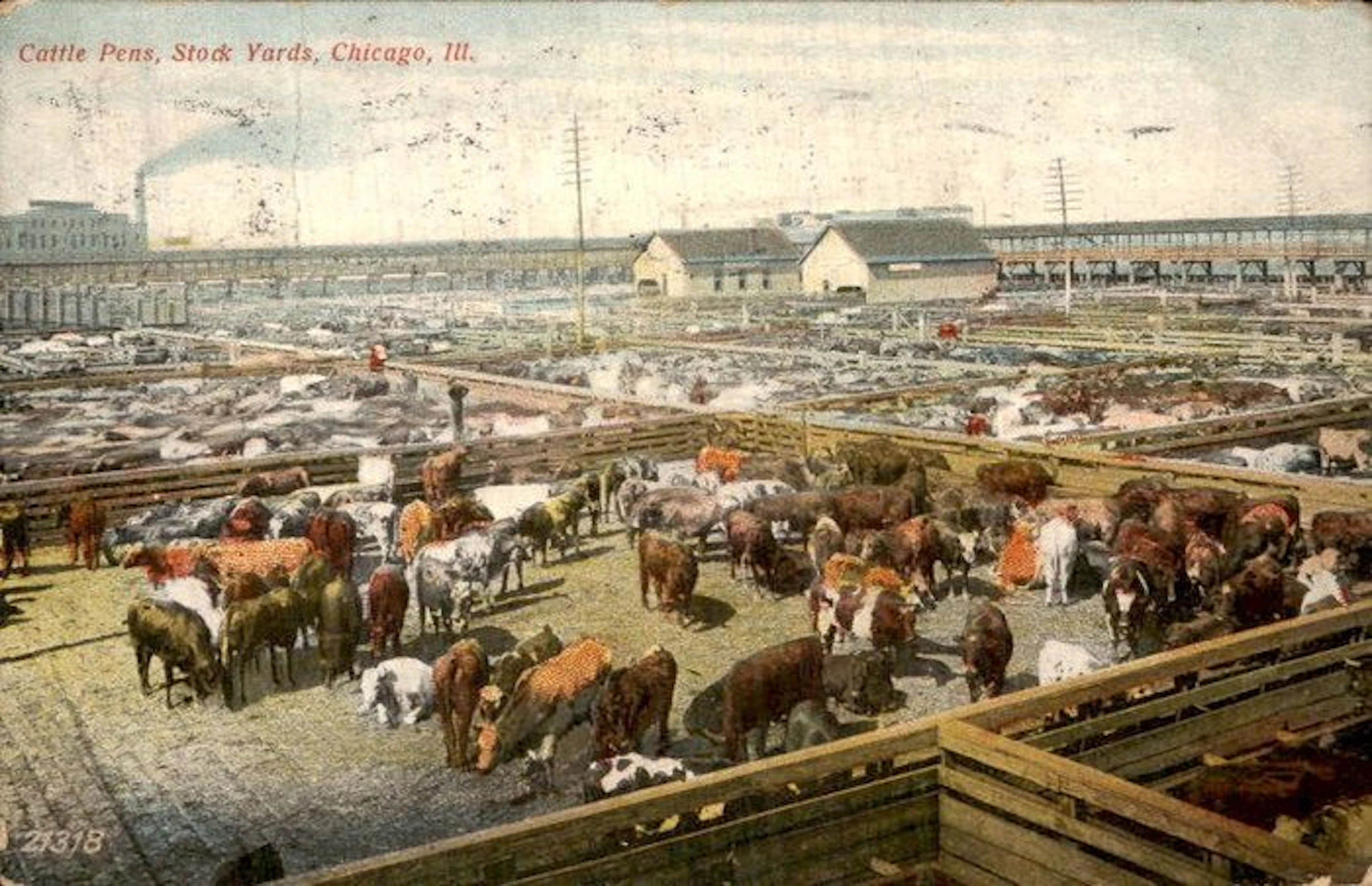 United States - Postcard (135) - 1900-1999