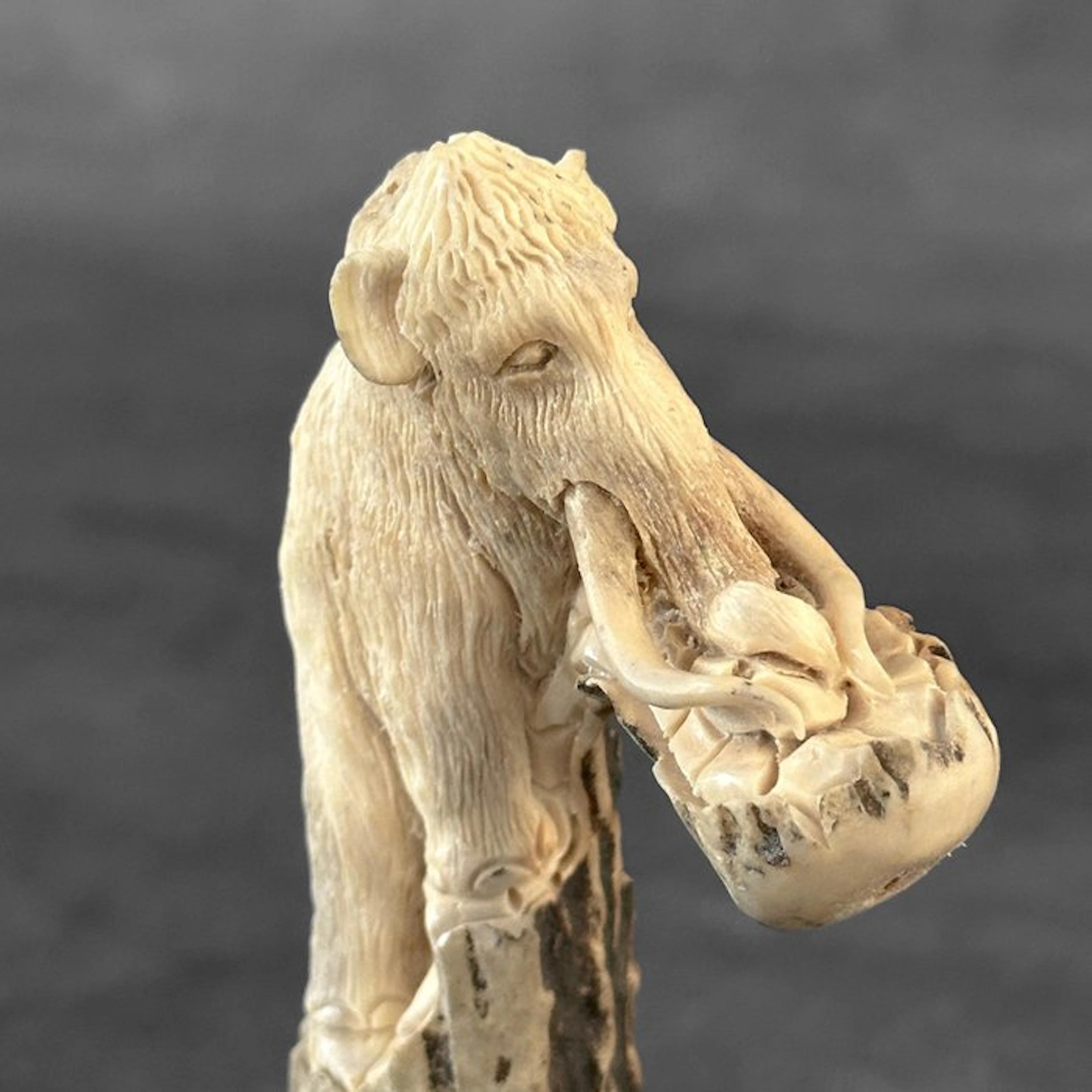 Carving, NO RESERVE PRICE - Stunning Mammoth carving from...